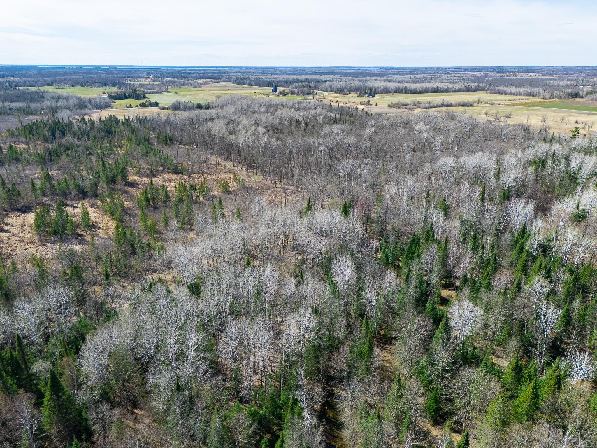 land for sale at TBD County 63 in Boy River, MN (photo 12 of 22)