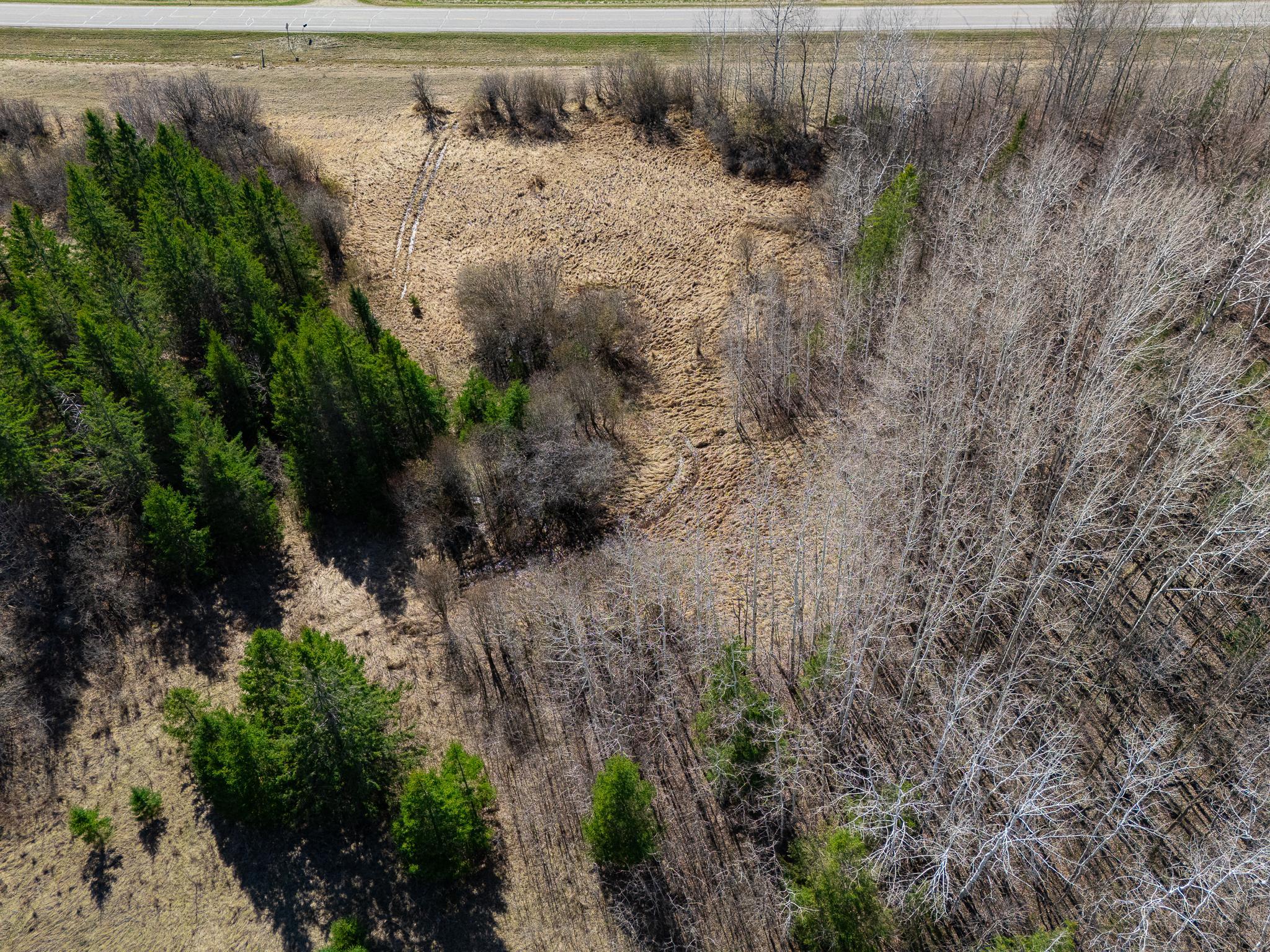land for sale at TBD County 63 in Boy River, MN (photo 15 of 22)