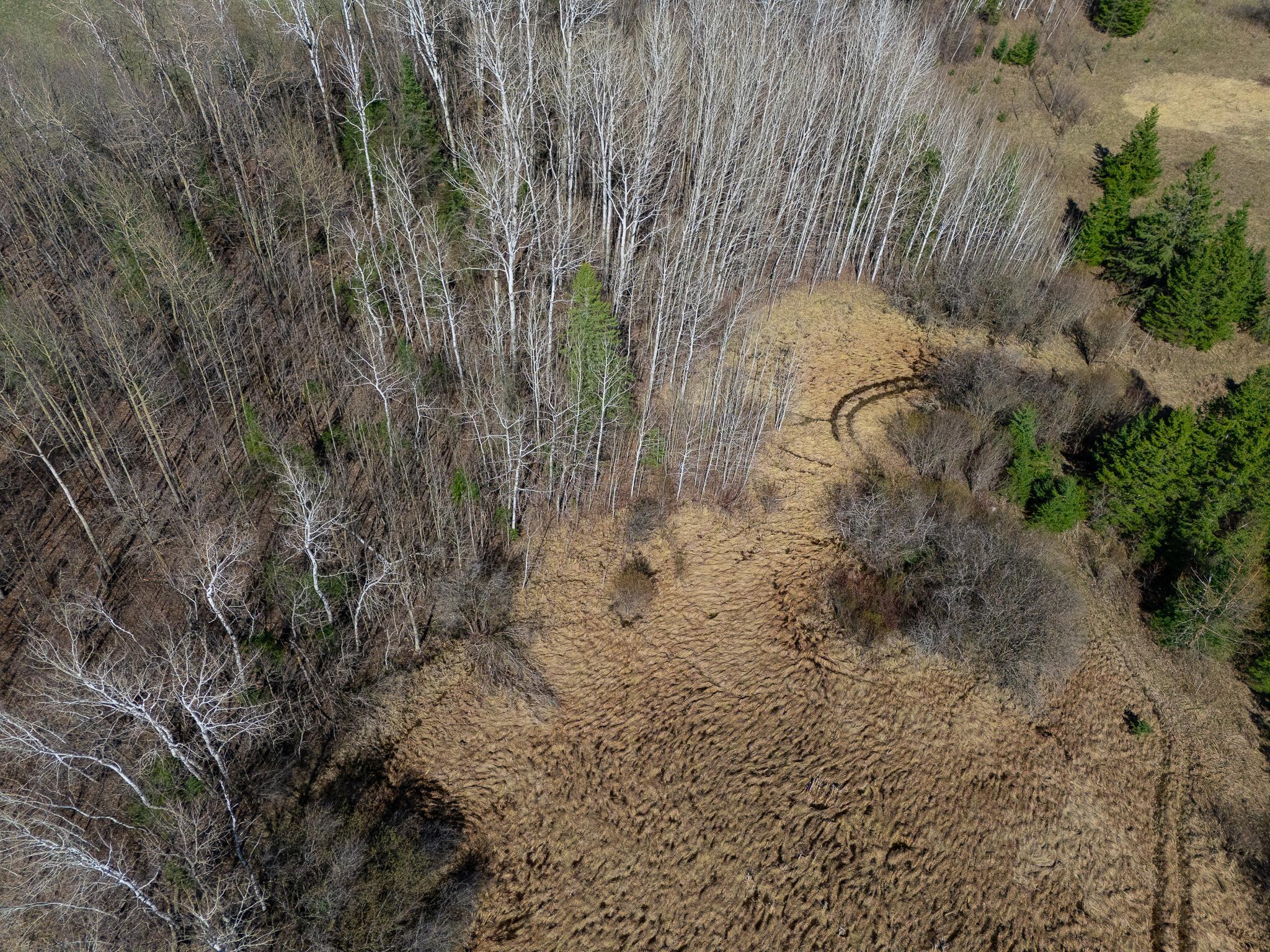 land for sale at TBD County 63 in Boy River, MN (photo 16 of 22)