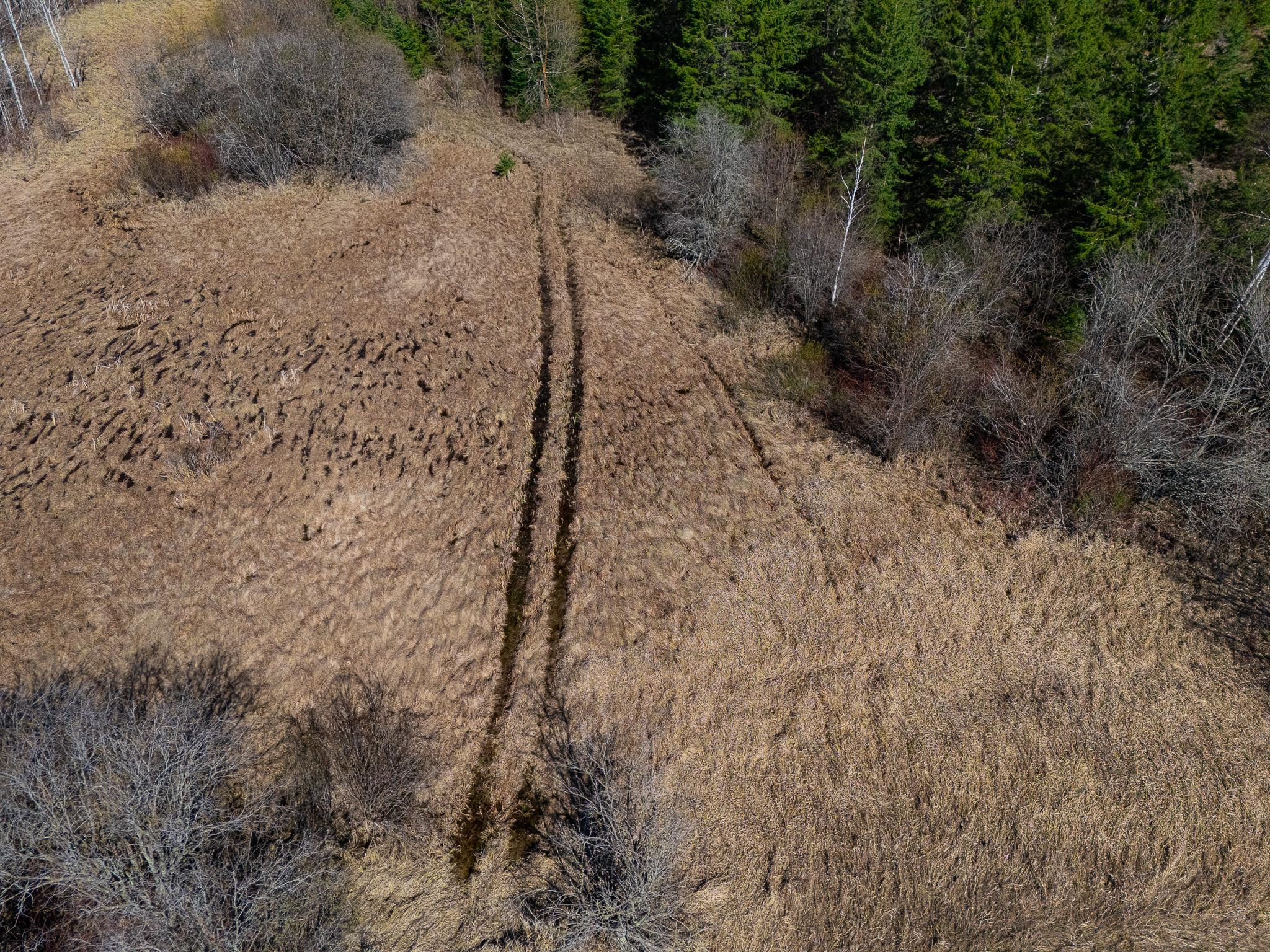 land for sale at TBD County 63 in Boy River, MN (photo 17 of 22)