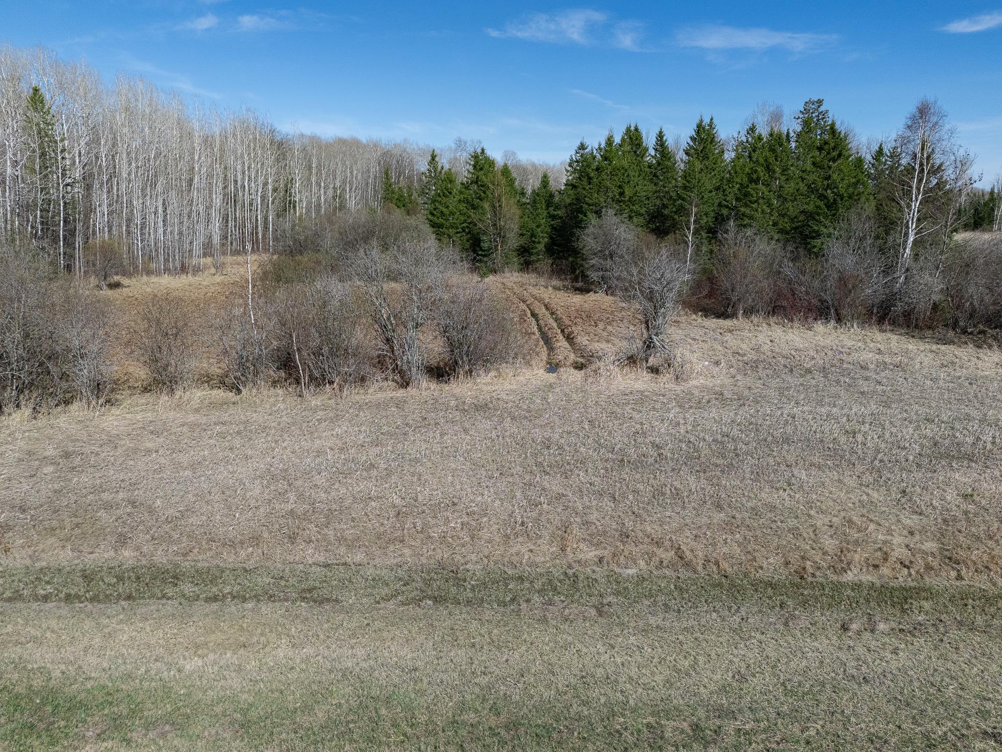 land for sale at TBD County 63 in Boy River, MN (photo 18 of 22)
