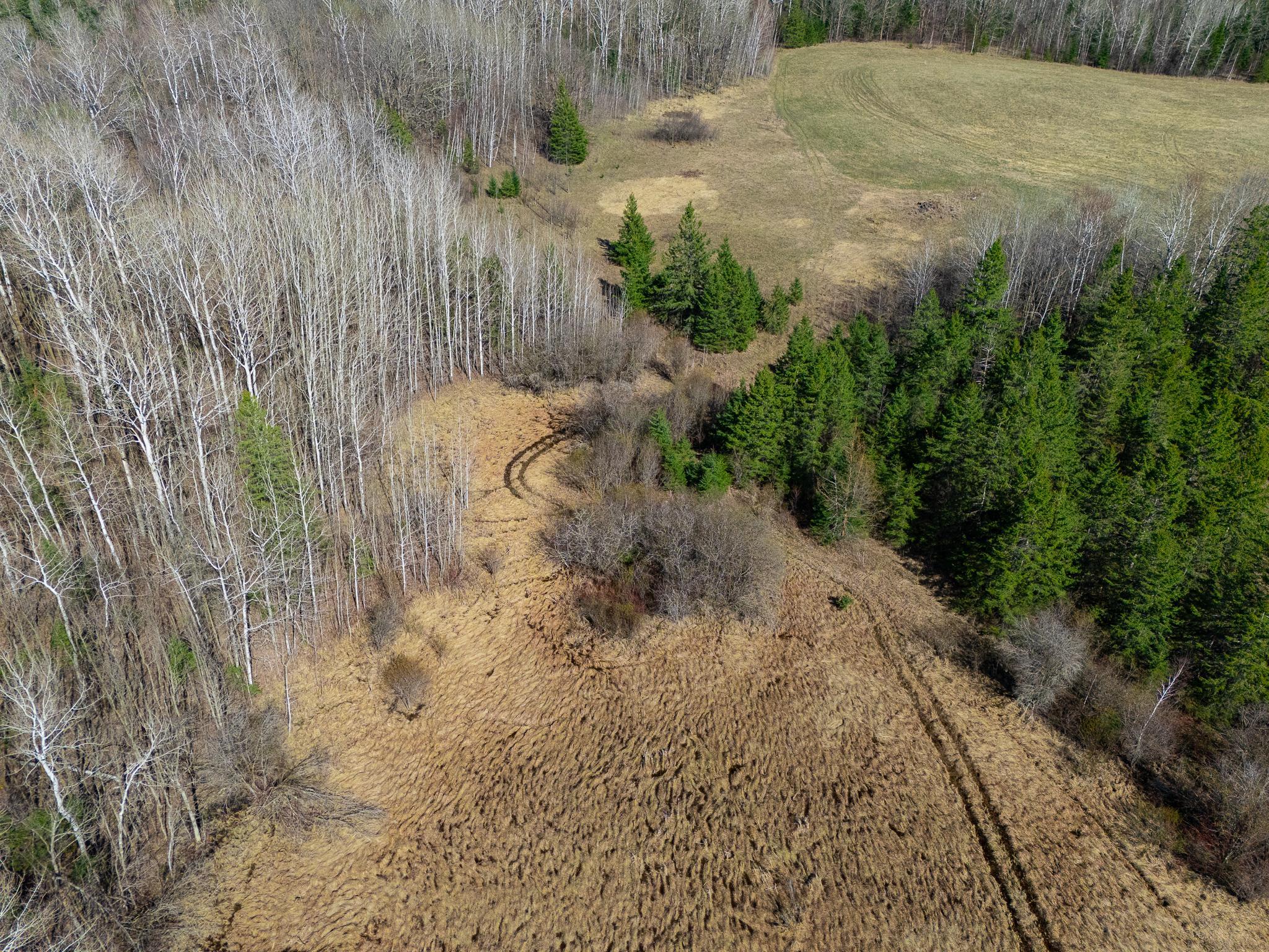land for sale at TBD County 63 in Boy River, MN (photo 19 of 22)