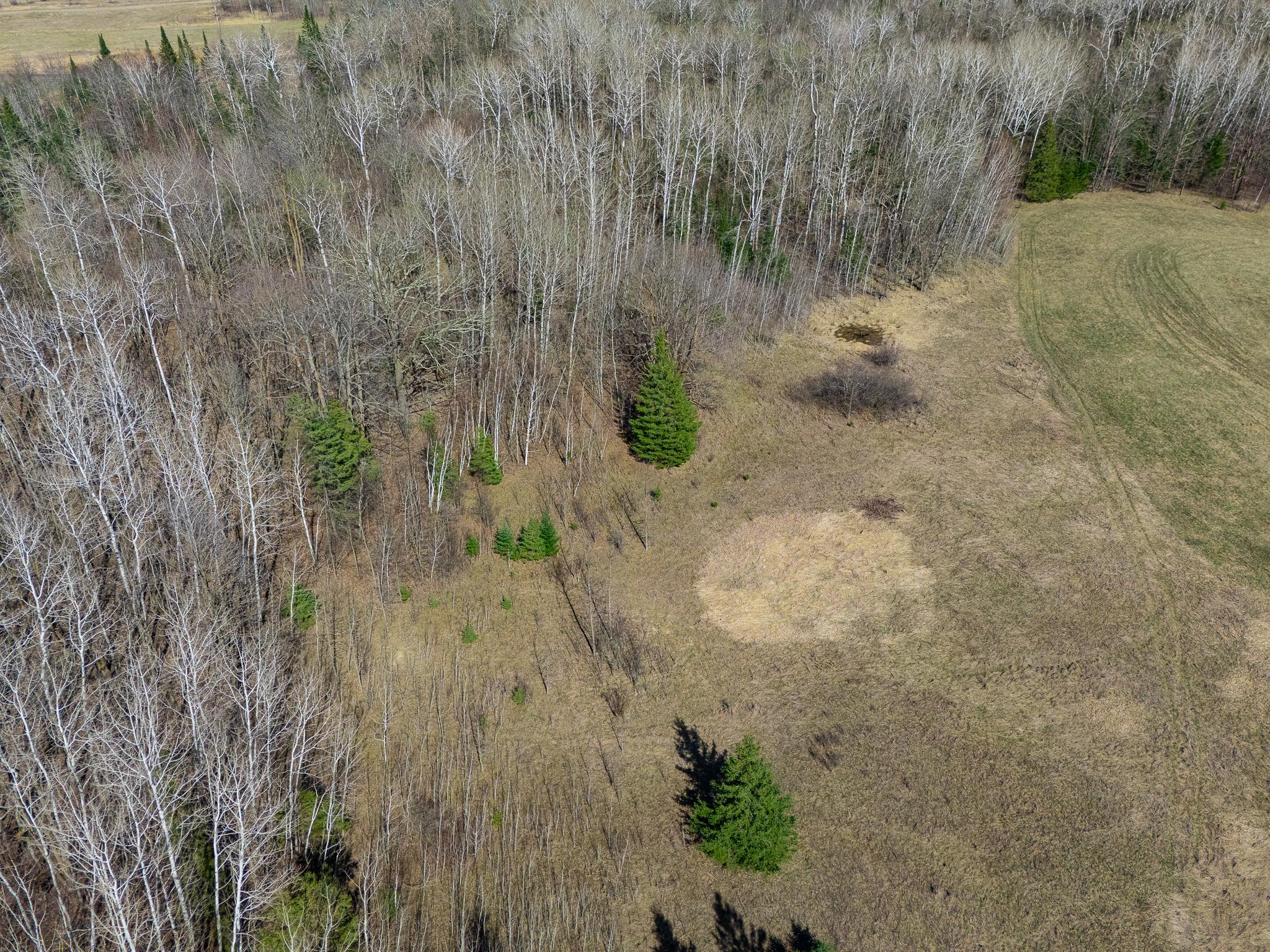 land for sale at TBD County 63 in Boy River, MN (photo 20 of 22)