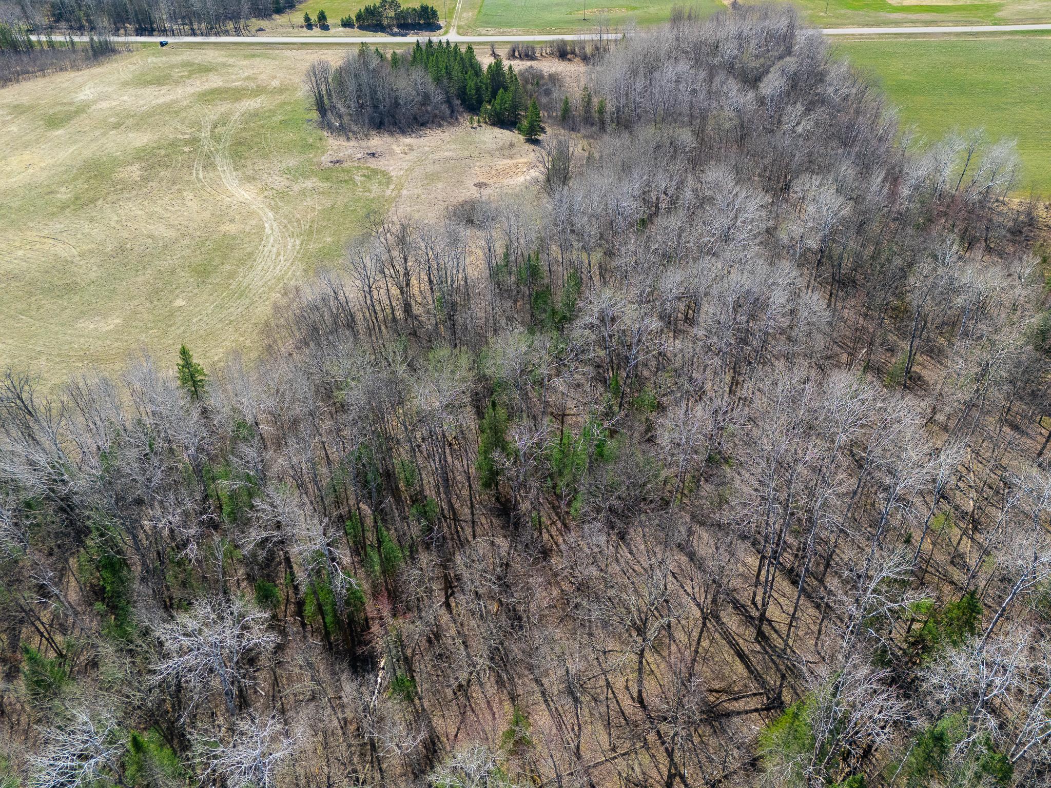 land for sale at TBD County 63 in Boy River, MN (photo 3 of 22)