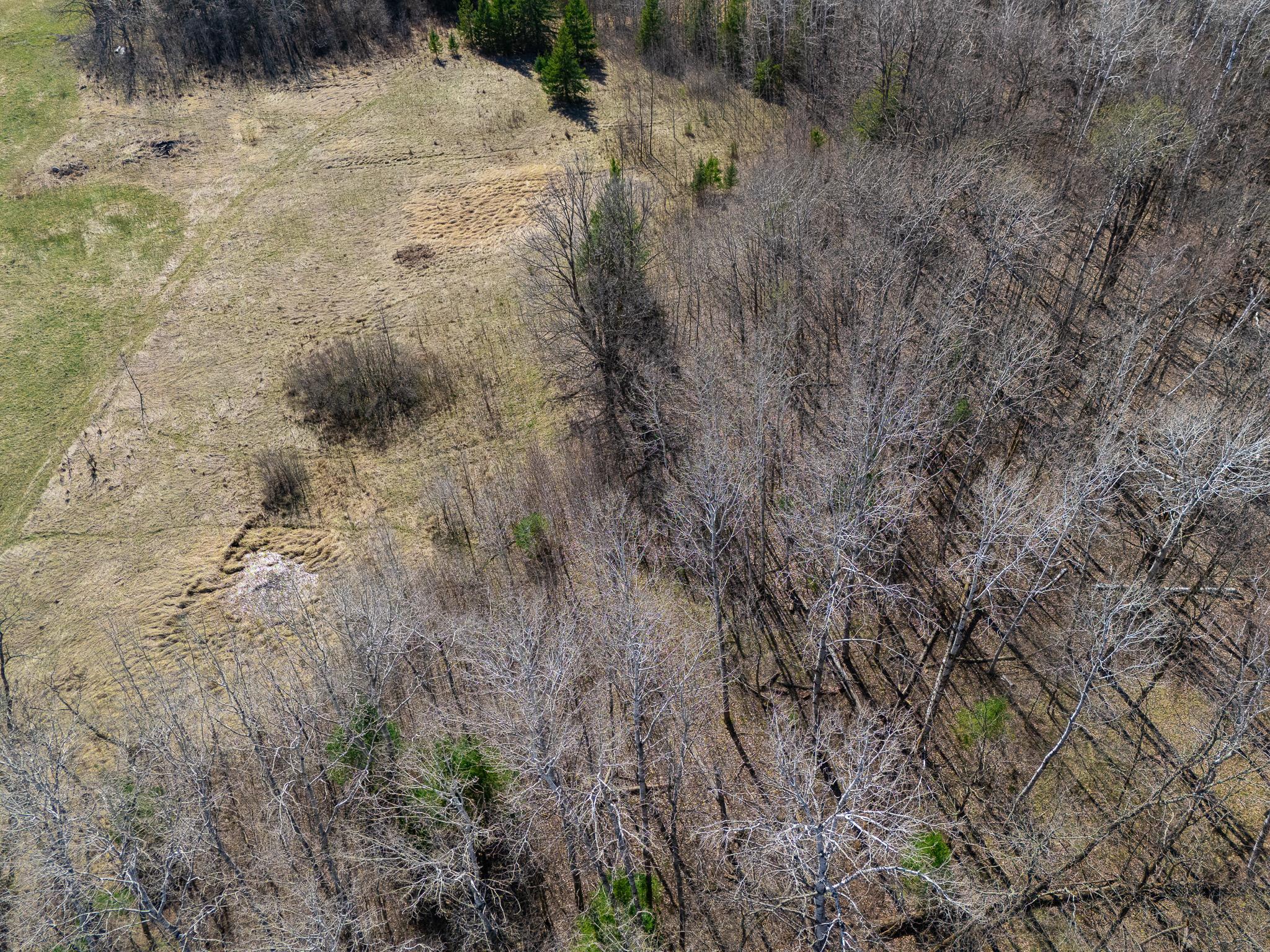land for sale at TBD County 63 in Boy River, MN (photo 22 of 22)
