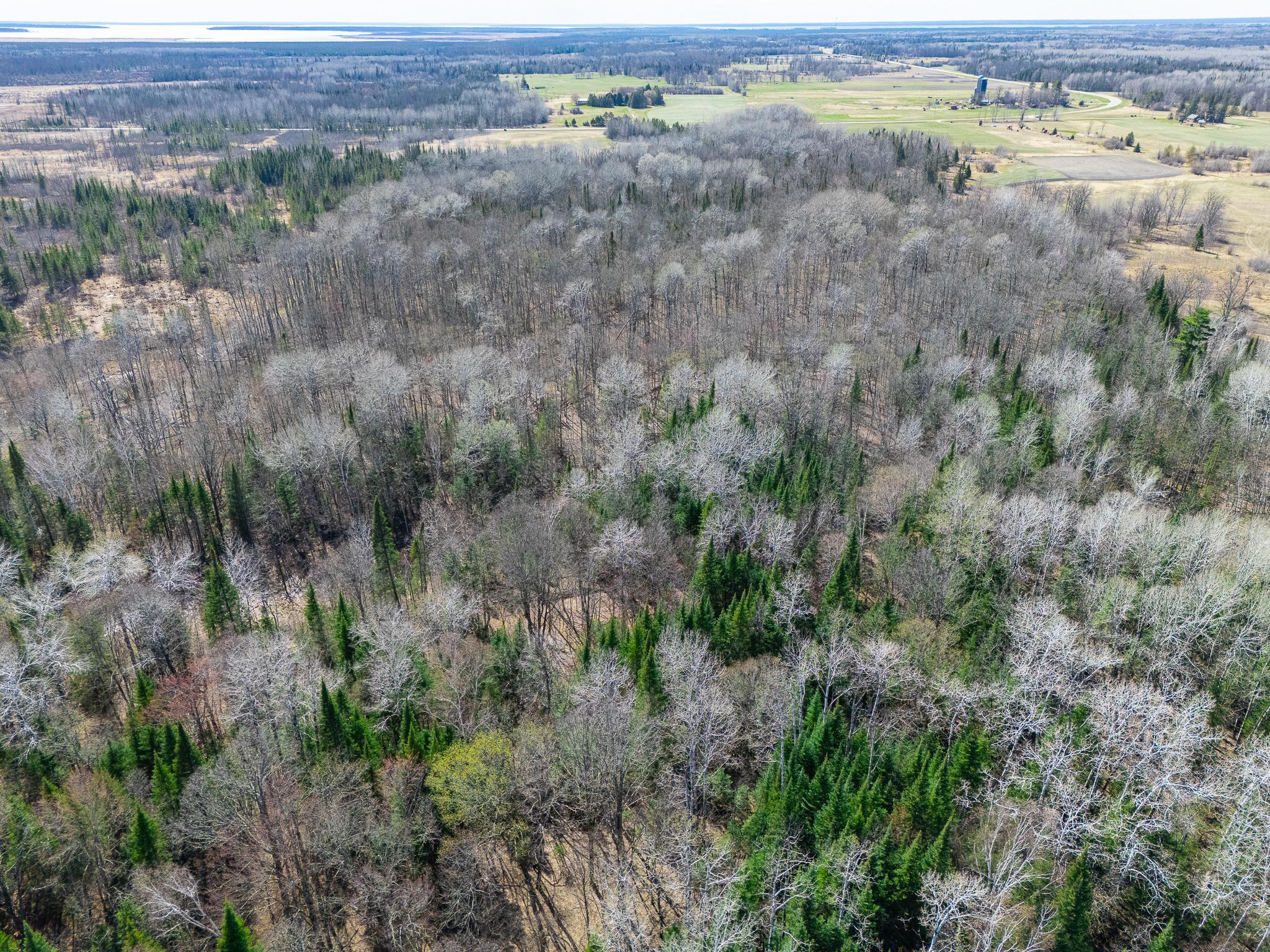 land for sale at TBD County 63 in Boy River, MN (photo 10 of 22)