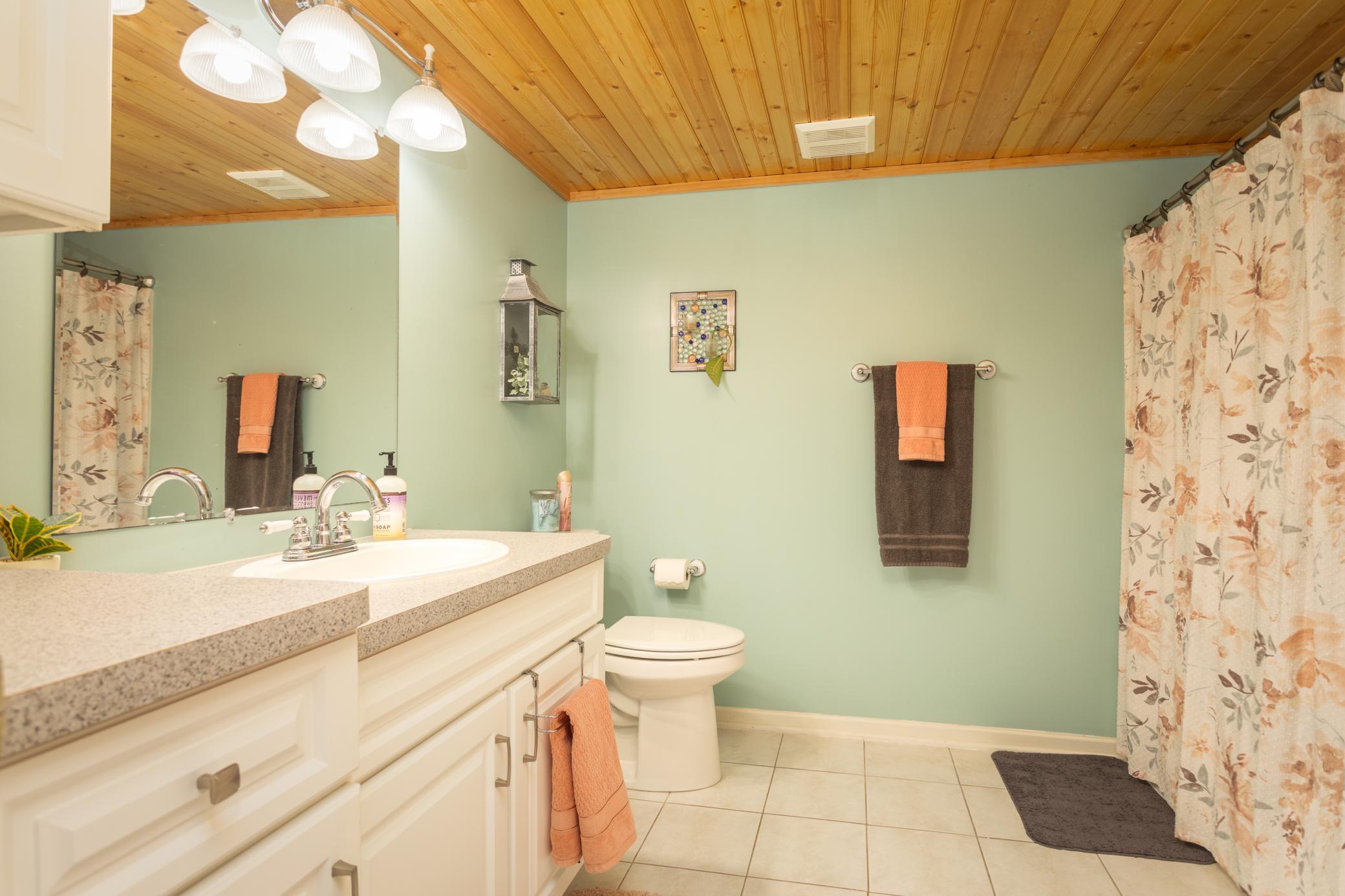 2003 single family home for sale at 30291 Duckweed Drive in Burtrum, MN — 4 bed, 3 bath (photo 45 of 66)