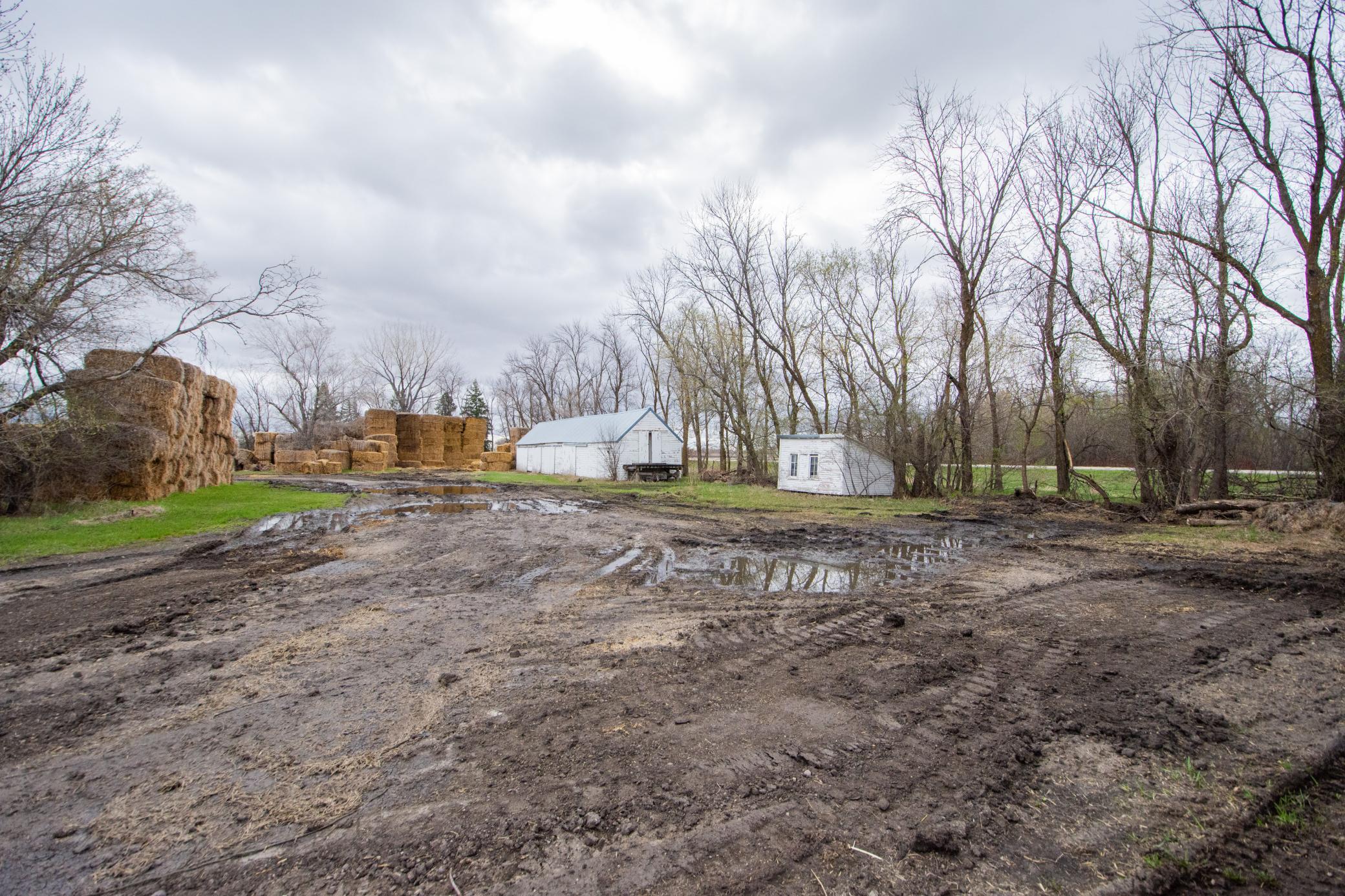 1951 single family home for sale at 1205 310th Street in Borup, MN — 2 bed, 1 bath (photo 34 of 49)