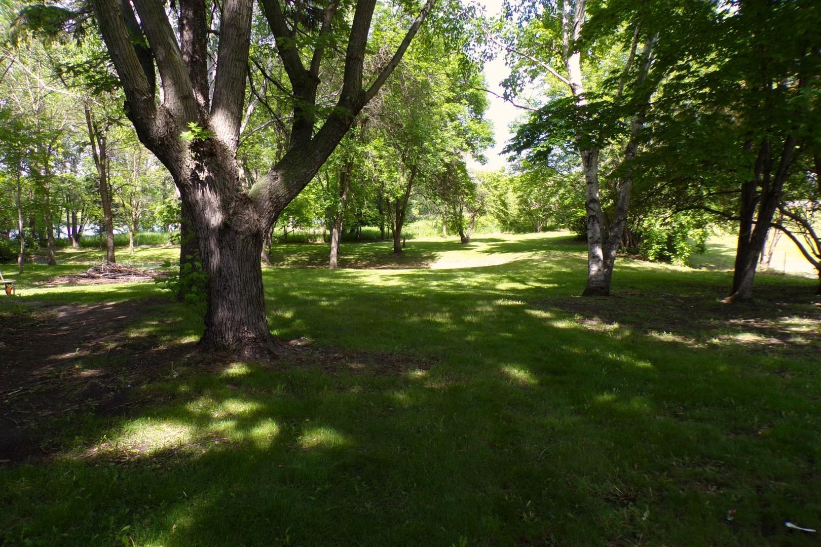 1954 home for sale at 1407 State Highway 29 N in Alexandria, MN — 9 bed, 4 bath (photo 6 of 38)