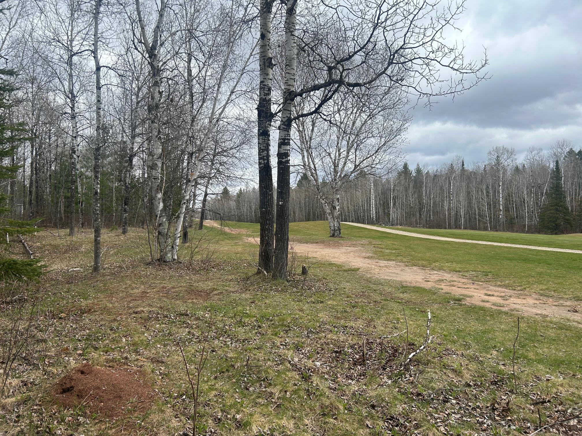 land for sale at TBD N Birch Drive in Coleraine, MN (photo 2 of 7)