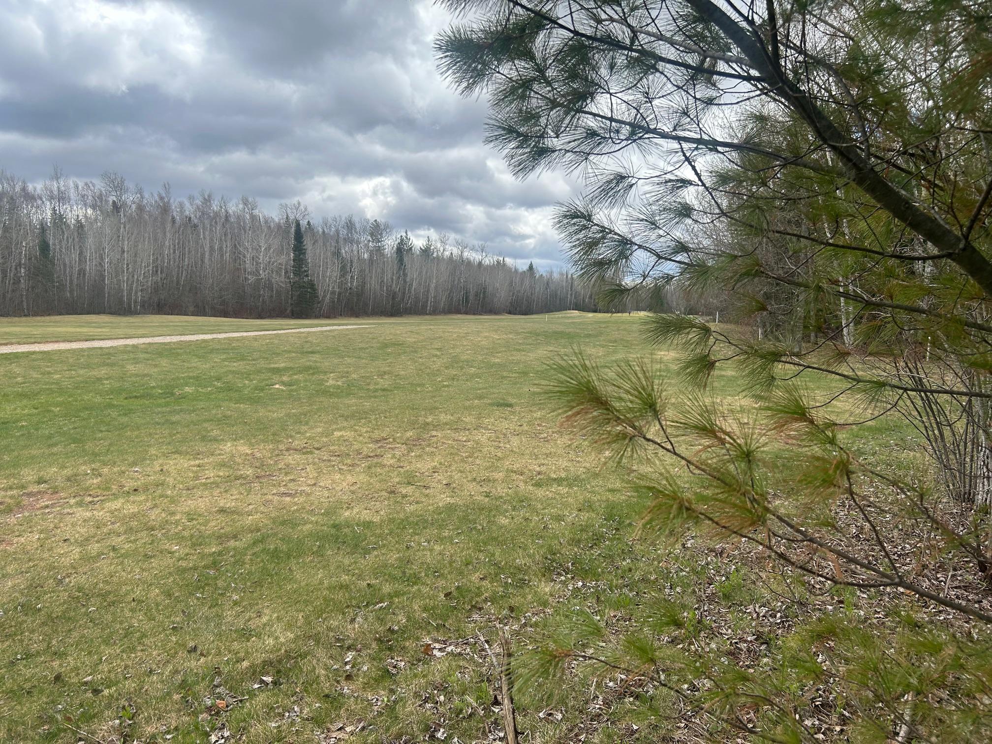 land for sale at TBD N Birch Drive in Coleraine, MN (photo 3 of 7)