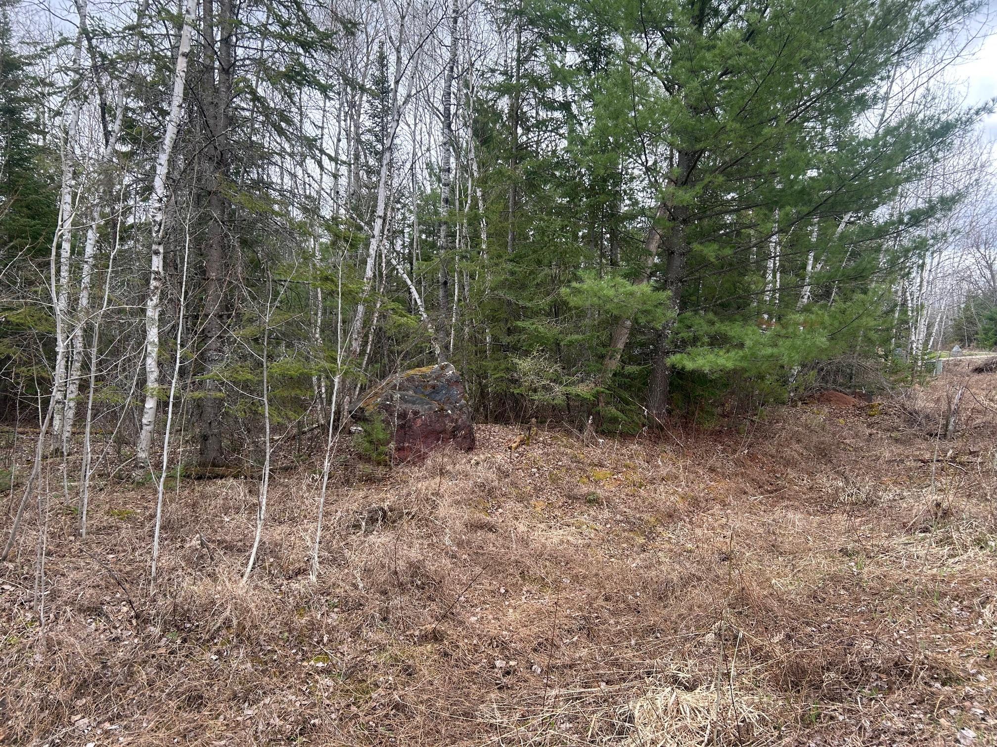land for sale at TBD N Birch Drive in Coleraine, MN (photo 4 of 7)