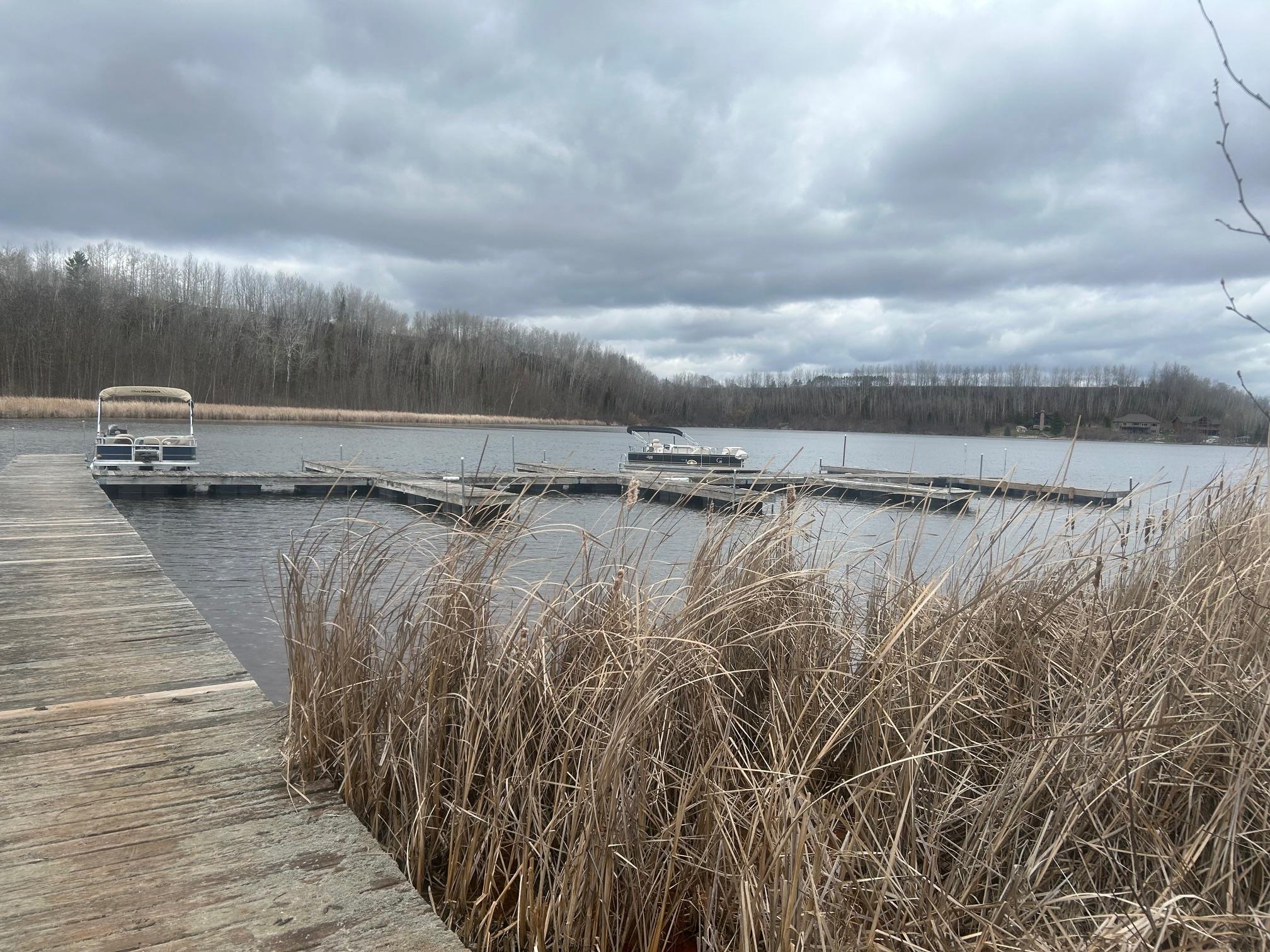 land for sale at TBD N Birch Drive in Coleraine, MN (photo 5 of 7)
