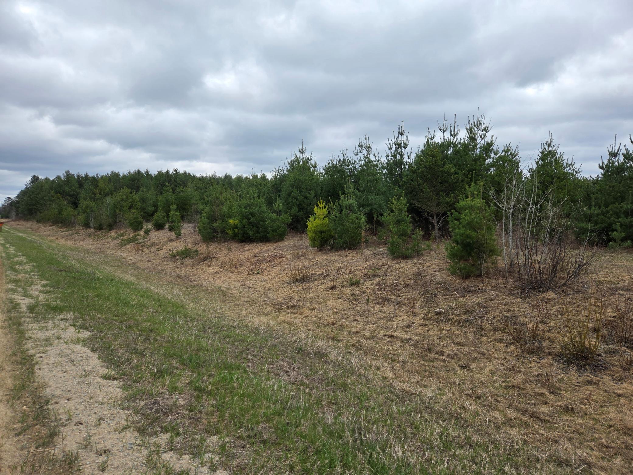TBD 450th St - Parcel A, Laporte MN 56461 - Photo 2 of 4