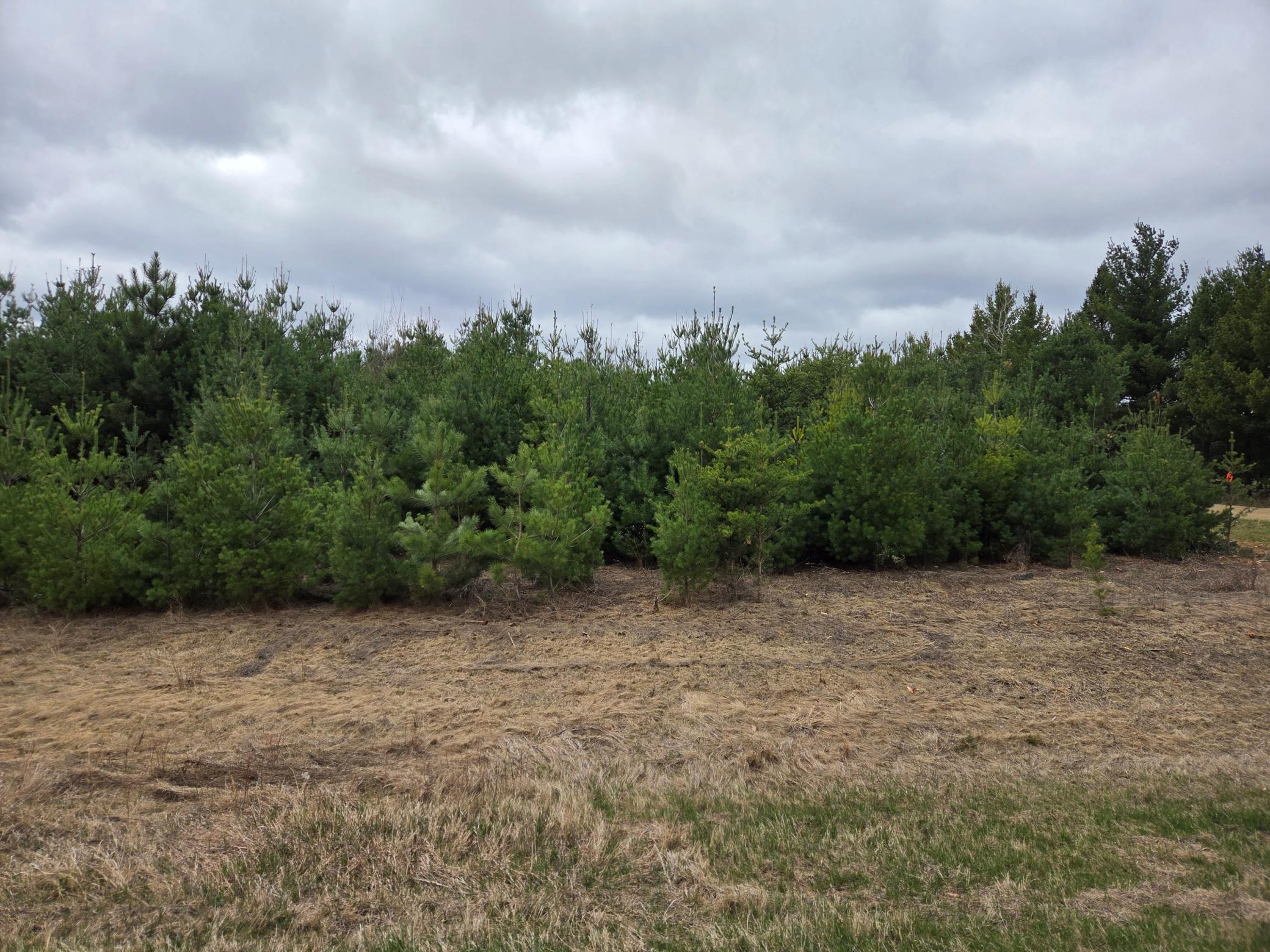 TBD 450th St - Parcel A, Laporte MN 56461 - Photo 4 of 4