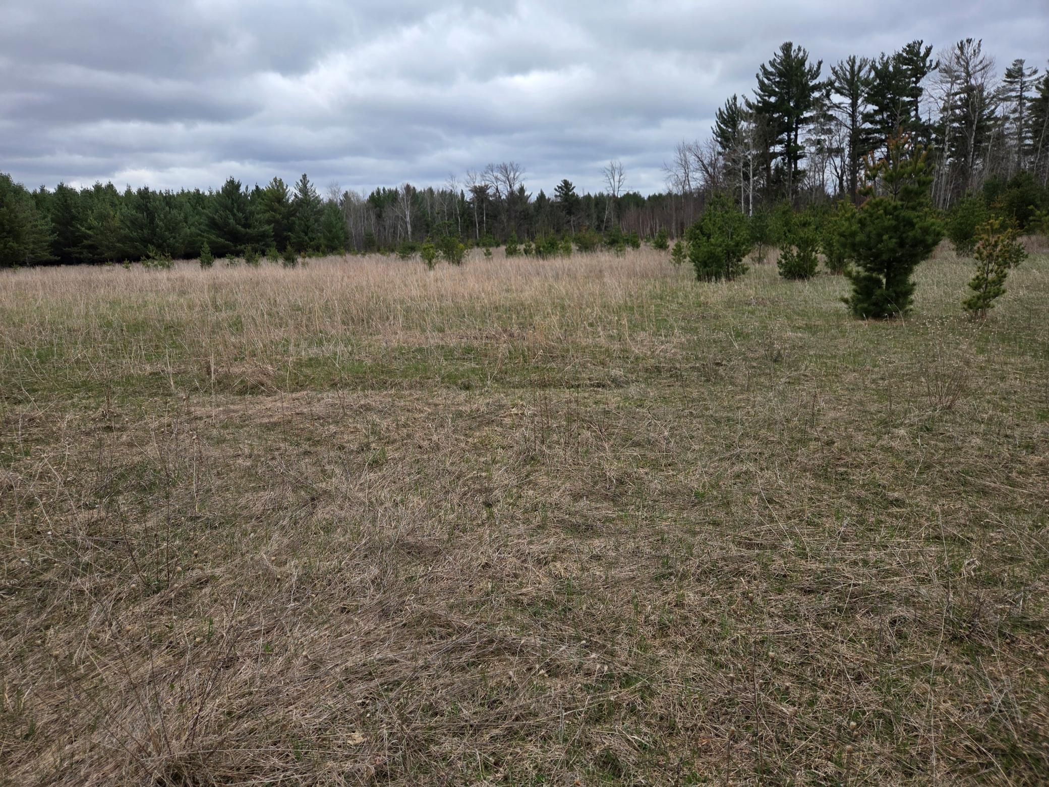 TBD 450th St - Parcel B, Laporte MN 56461 - Photo 2 of 4