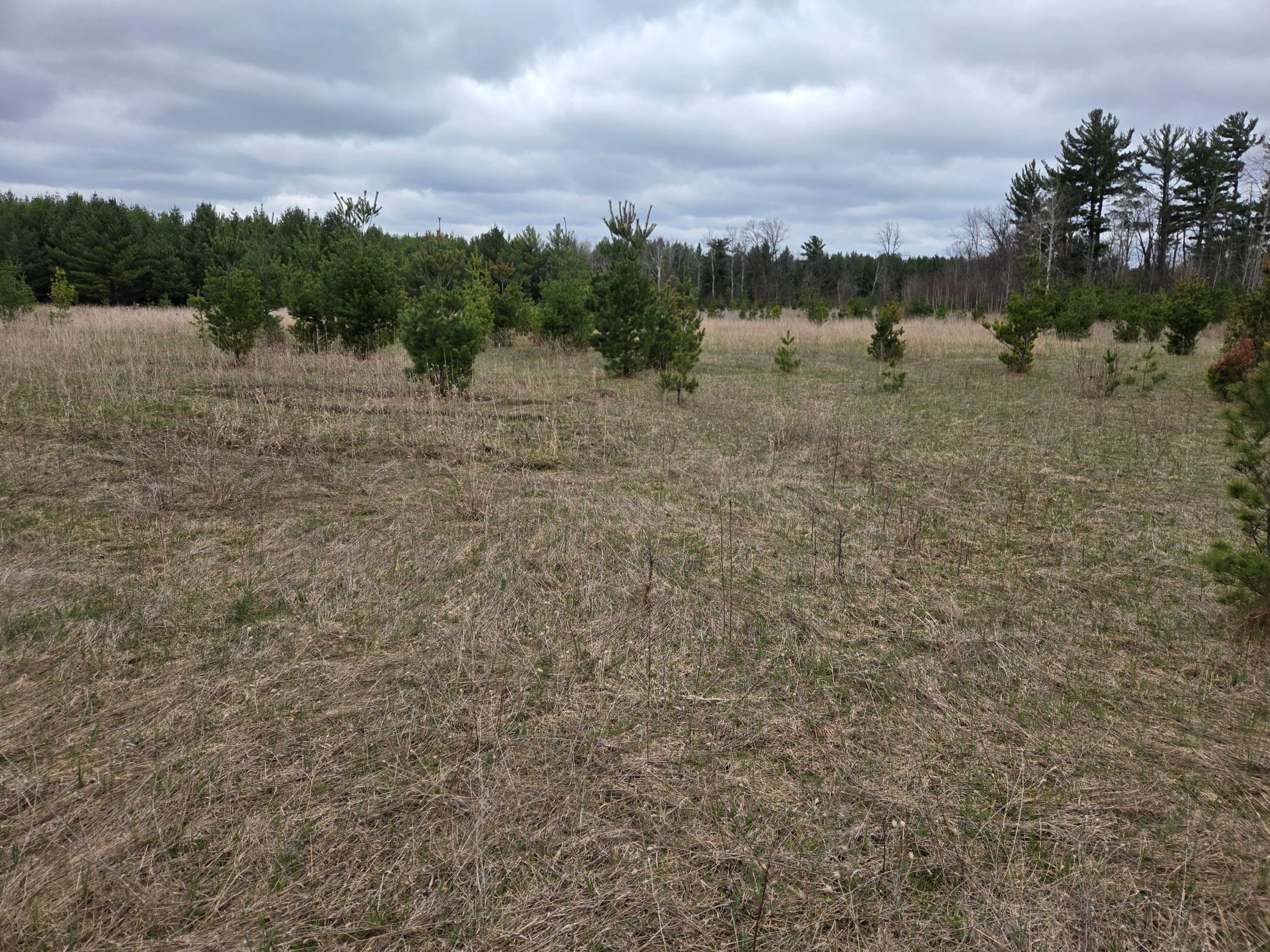 TBD 450th St - Parcel B, Laporte MN 56461 - Photo 4 of 4