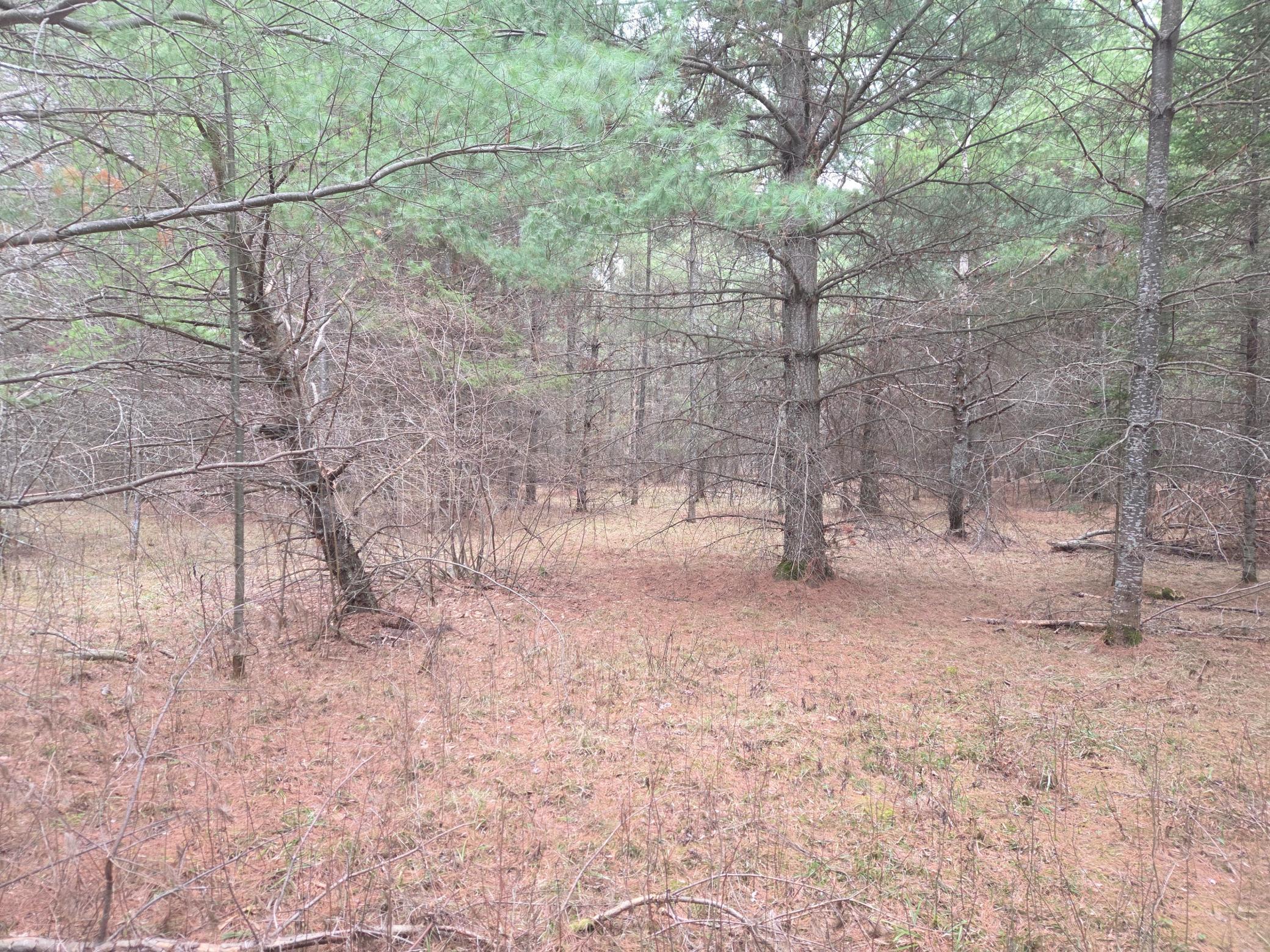TBD 450th St - Parcel C, Laporte MN 56461 - Photo 2 of 4