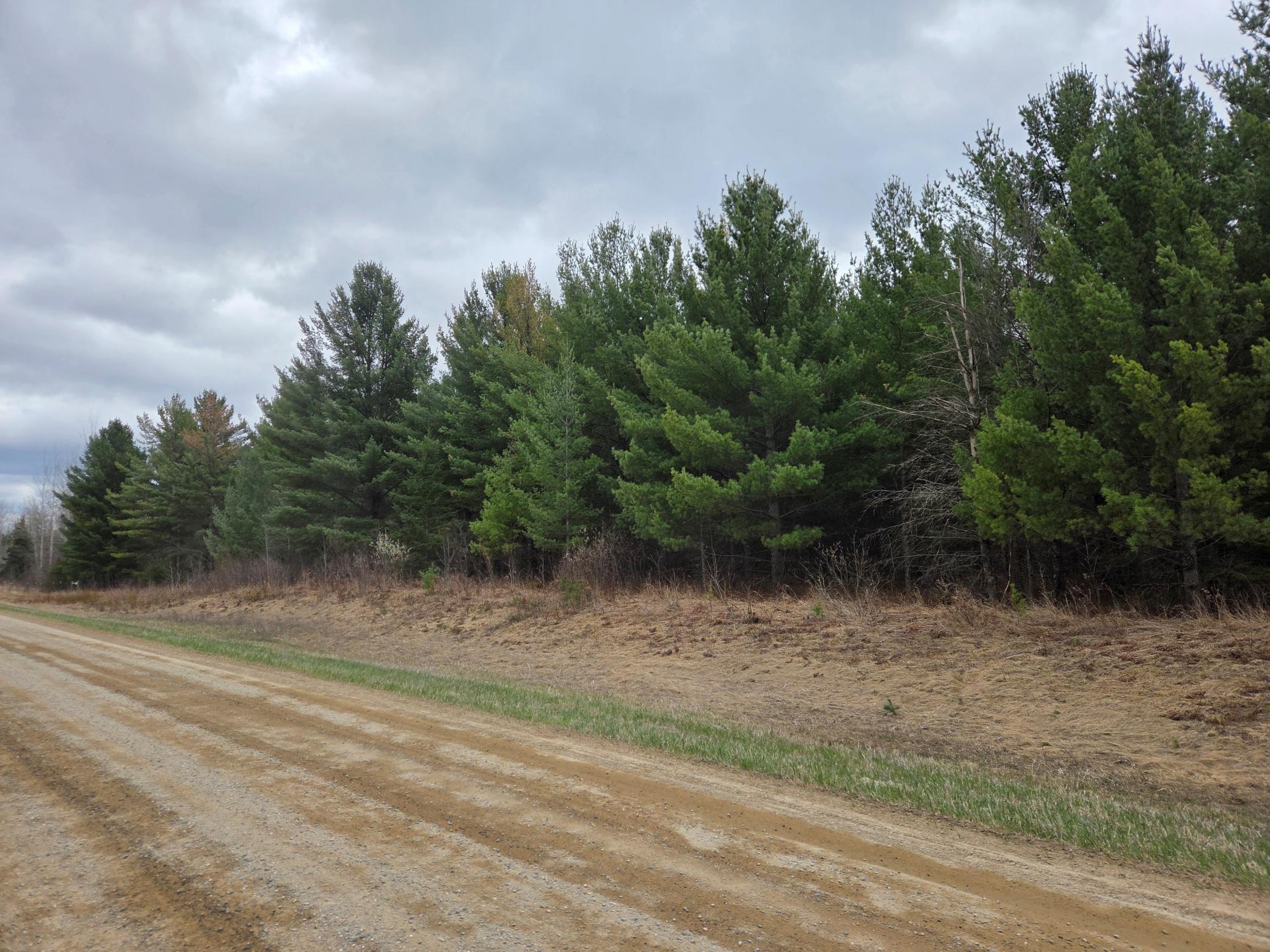 TBD 450th St - Parcel C, Laporte MN 56461 - Photo 4 of 4