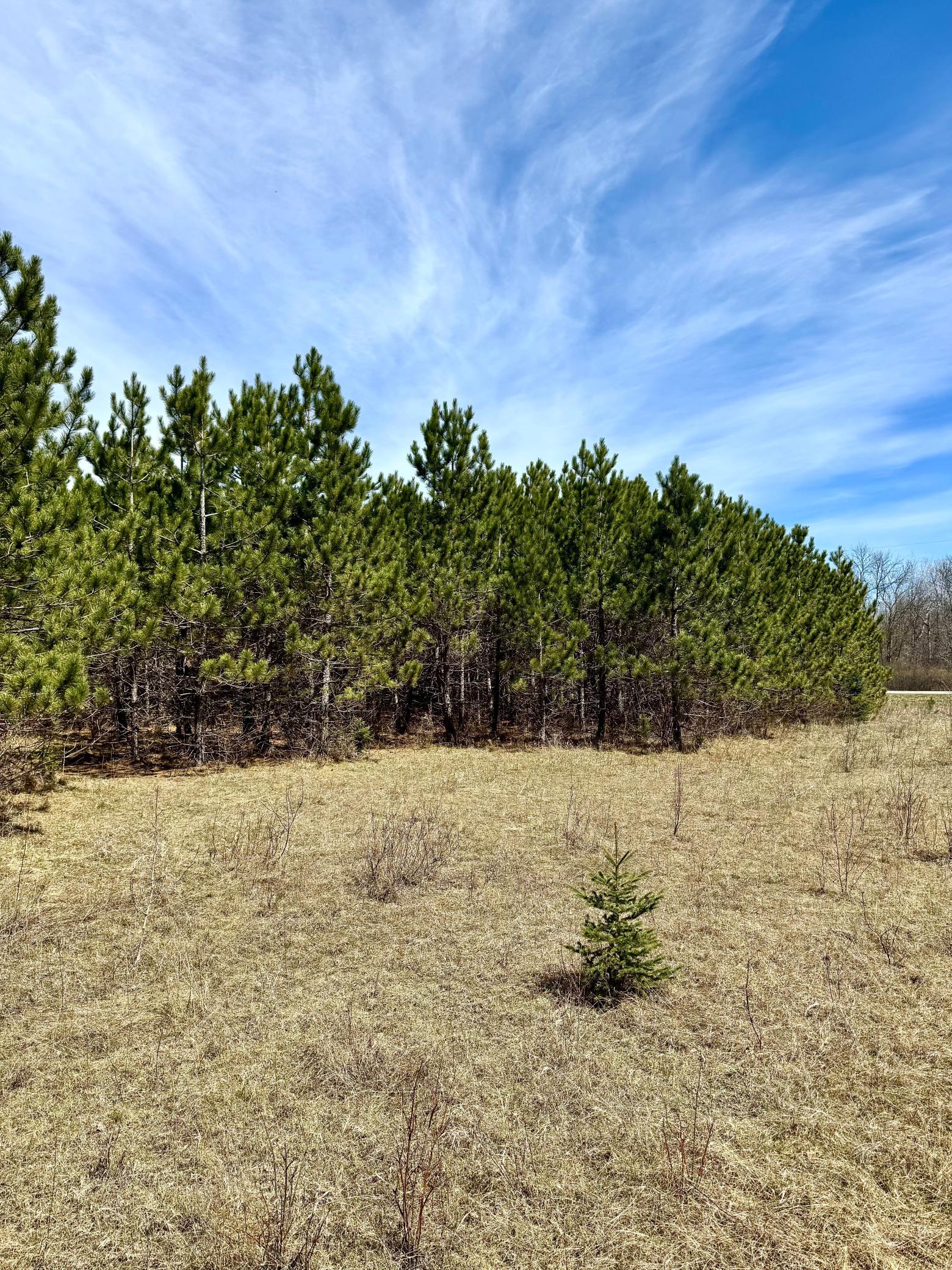 land for sale at Lot 1 Scenic Hwy 7 in Bovey, MN (photo 20 of 20)