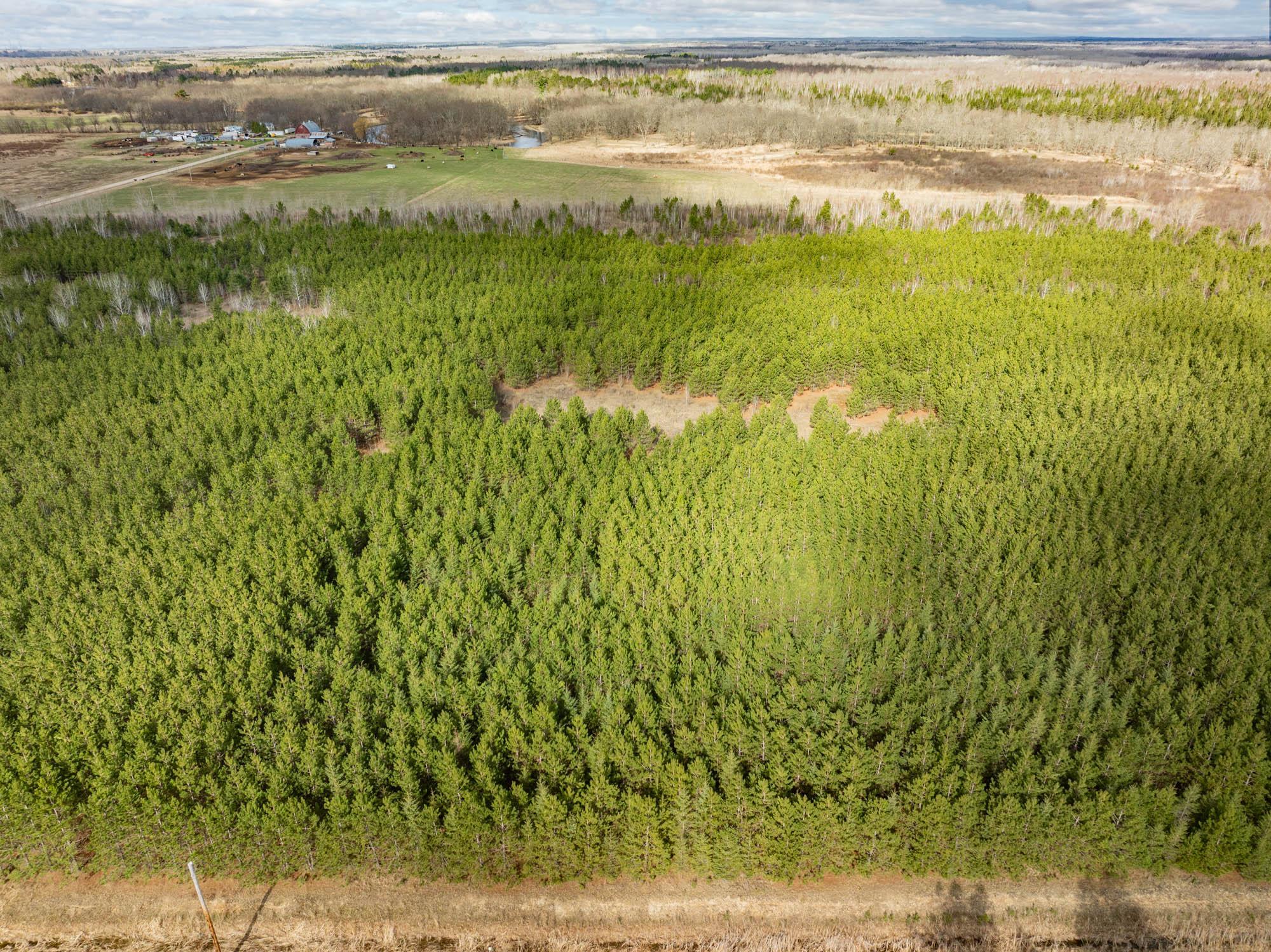 land for sale at Lot 1 Scenic Hwy 7 in Bovey, MN (photo 5 of 20)