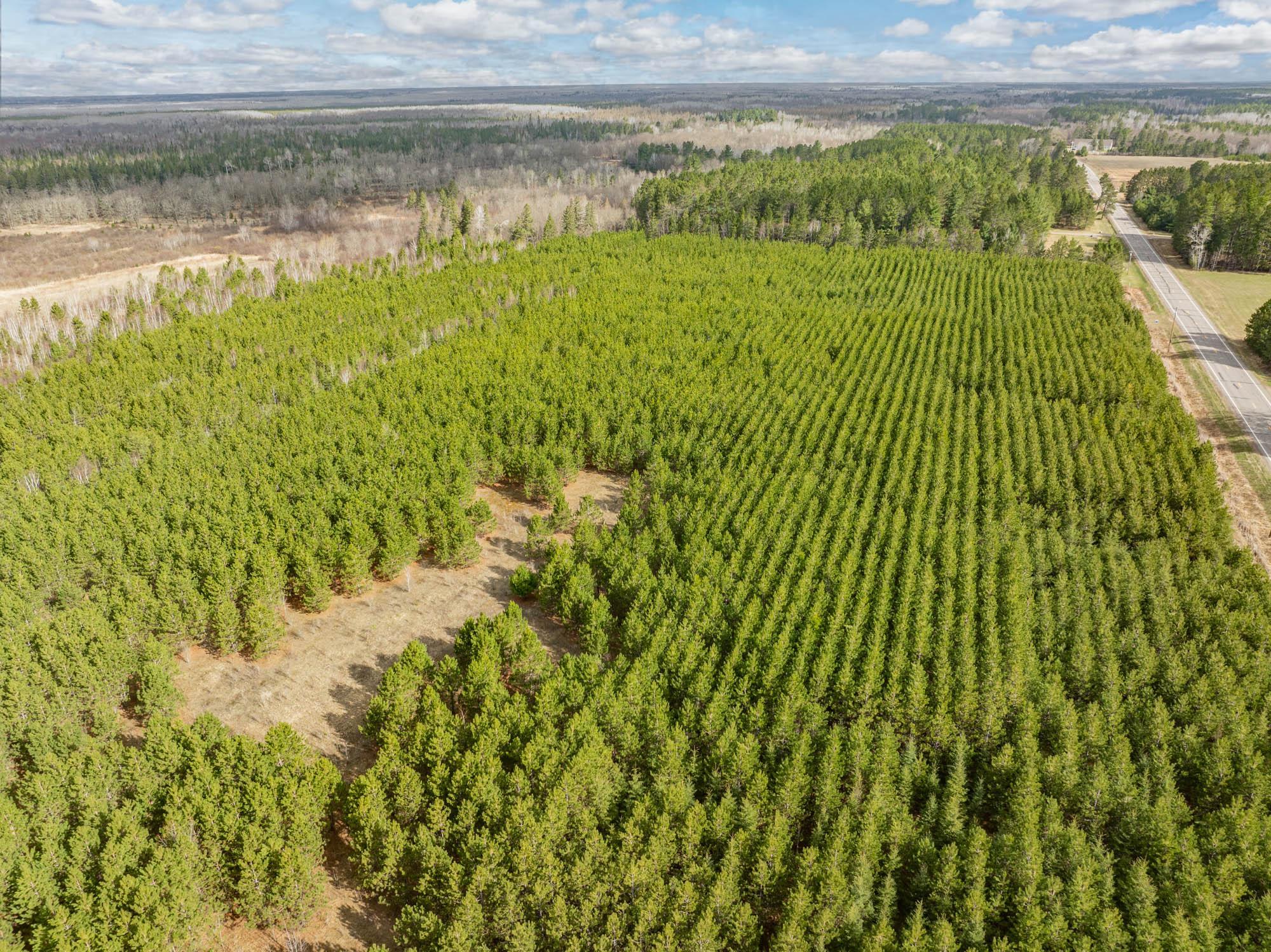 land for sale at Lot 1 Scenic Hwy 7 in Bovey, MN (photo 10 of 20)