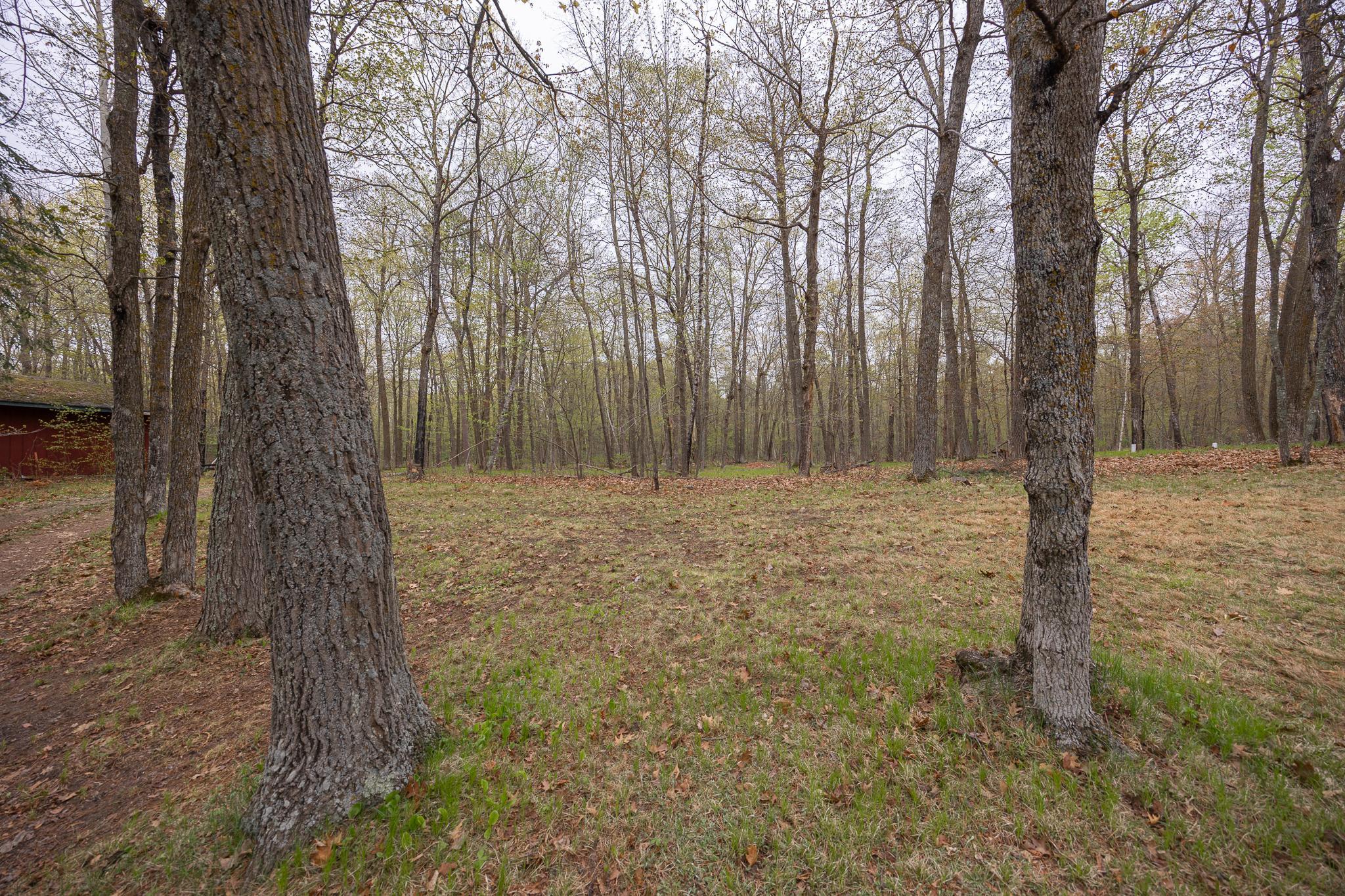 4565 Spinner Trail NE, Remer MN 56672 - Photo 43 of 48