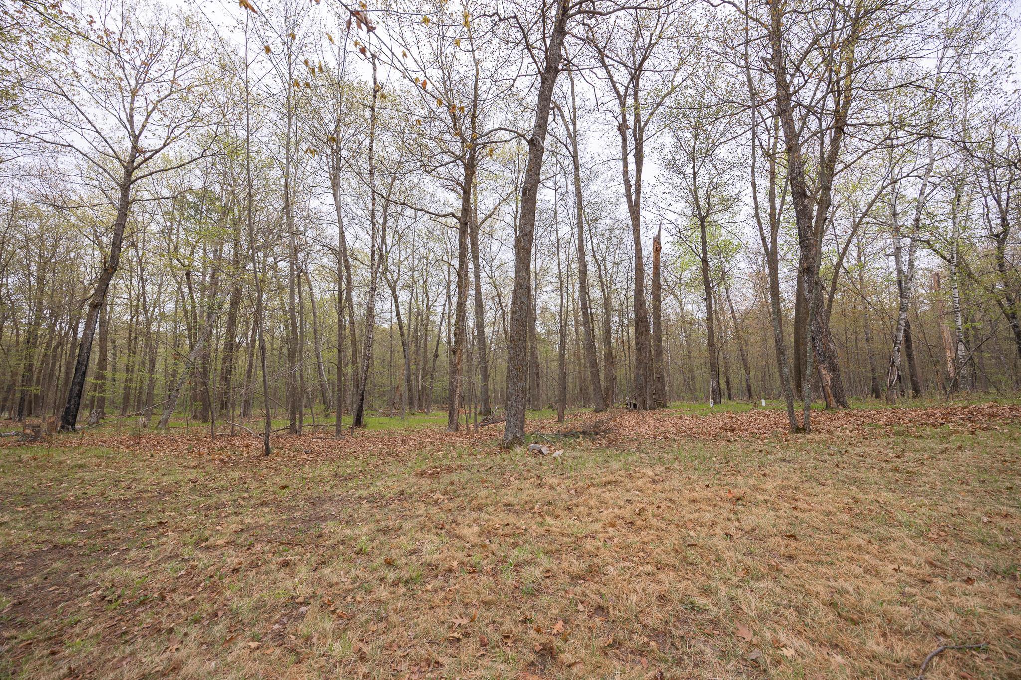 4565 Spinner Trail NE, Remer MN 56672 - Photo 44 of 48