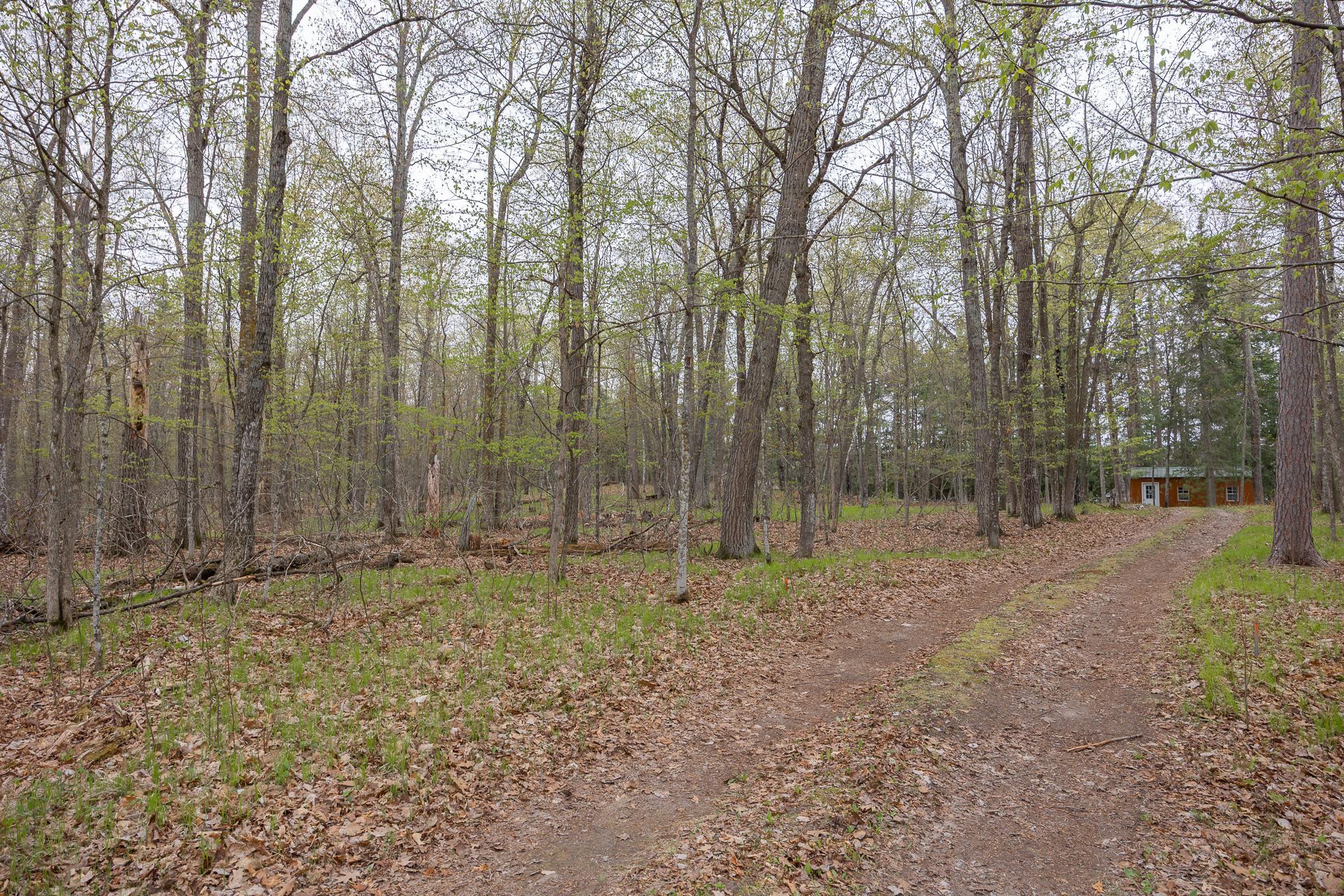 4565 Spinner Trail NE, Remer MN 56672 - Photo 45 of 48