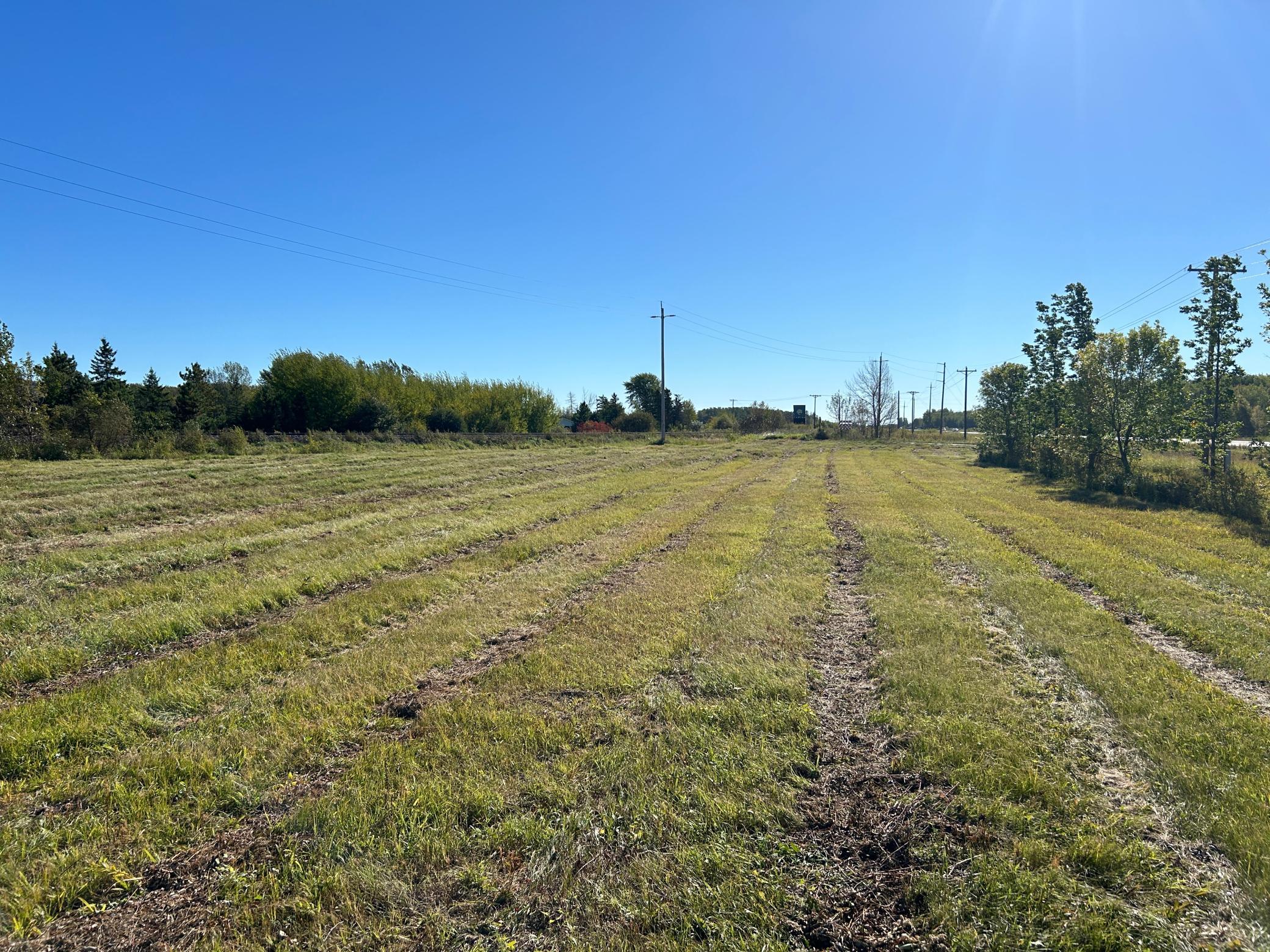 land for sale at XXX State Hwy 11 in Warroad, MN (photo 9 of 32)