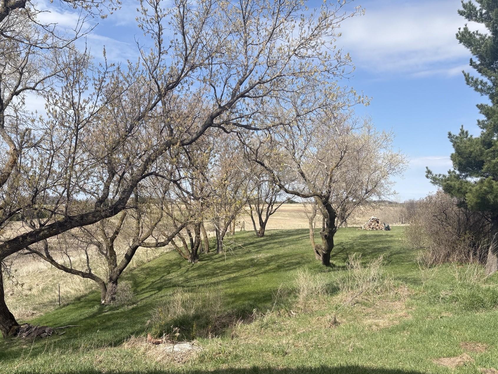 1910 single family home for sale at 23889 County Hwy 1 in Fergus Falls, MN — 0 bed, 1 bath (photo 22 of 39)