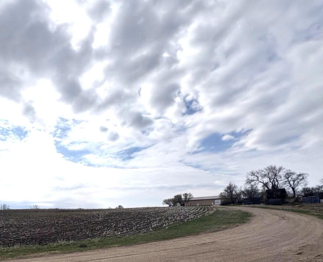 1910 single family home for sale at 23889 County Hwy 1 in Fergus Falls, MN — 0 bed, 1 bath (photo 30 of 39)