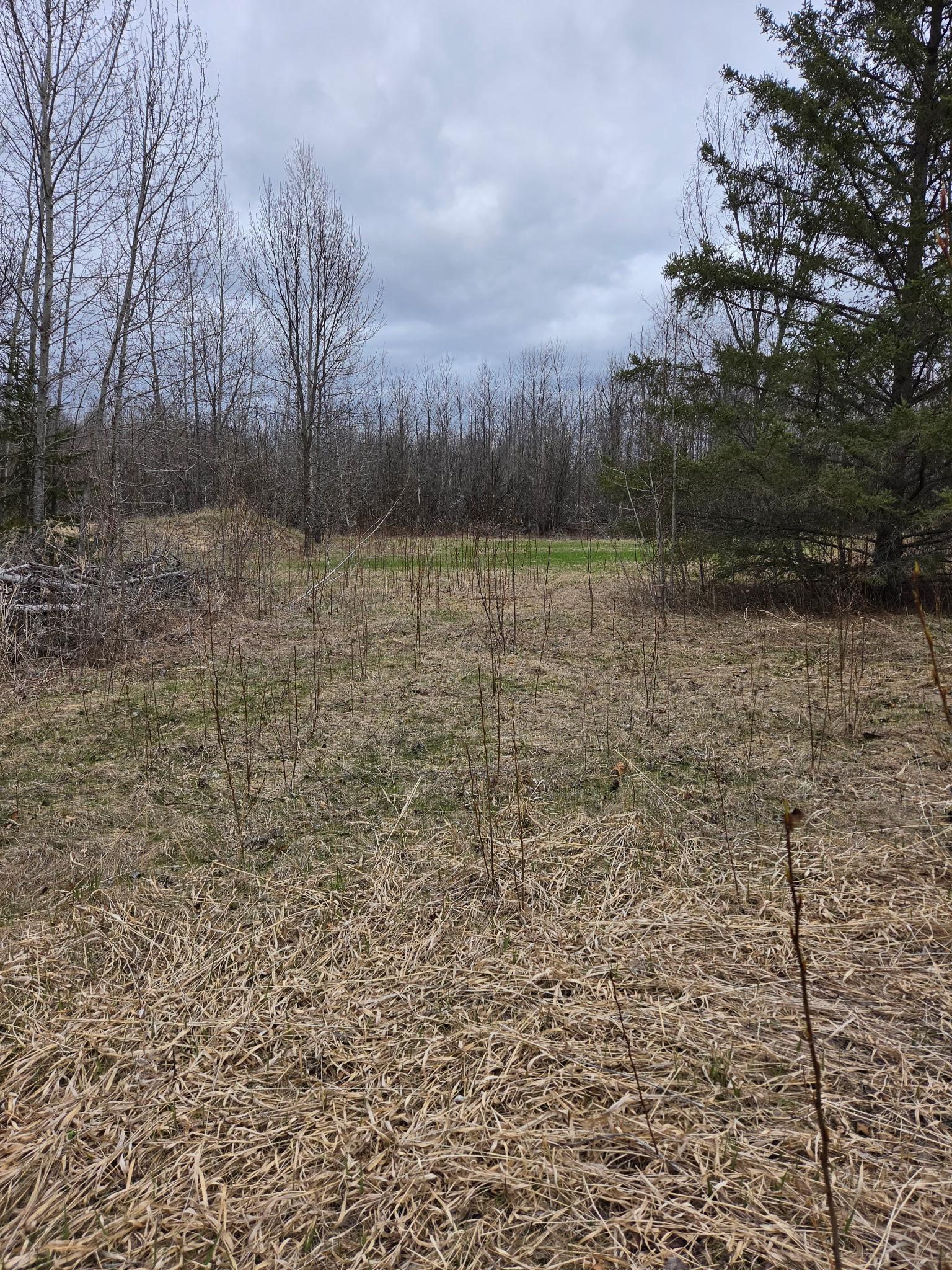 land for sale at TBD Lampi Road in Cohasset, MN