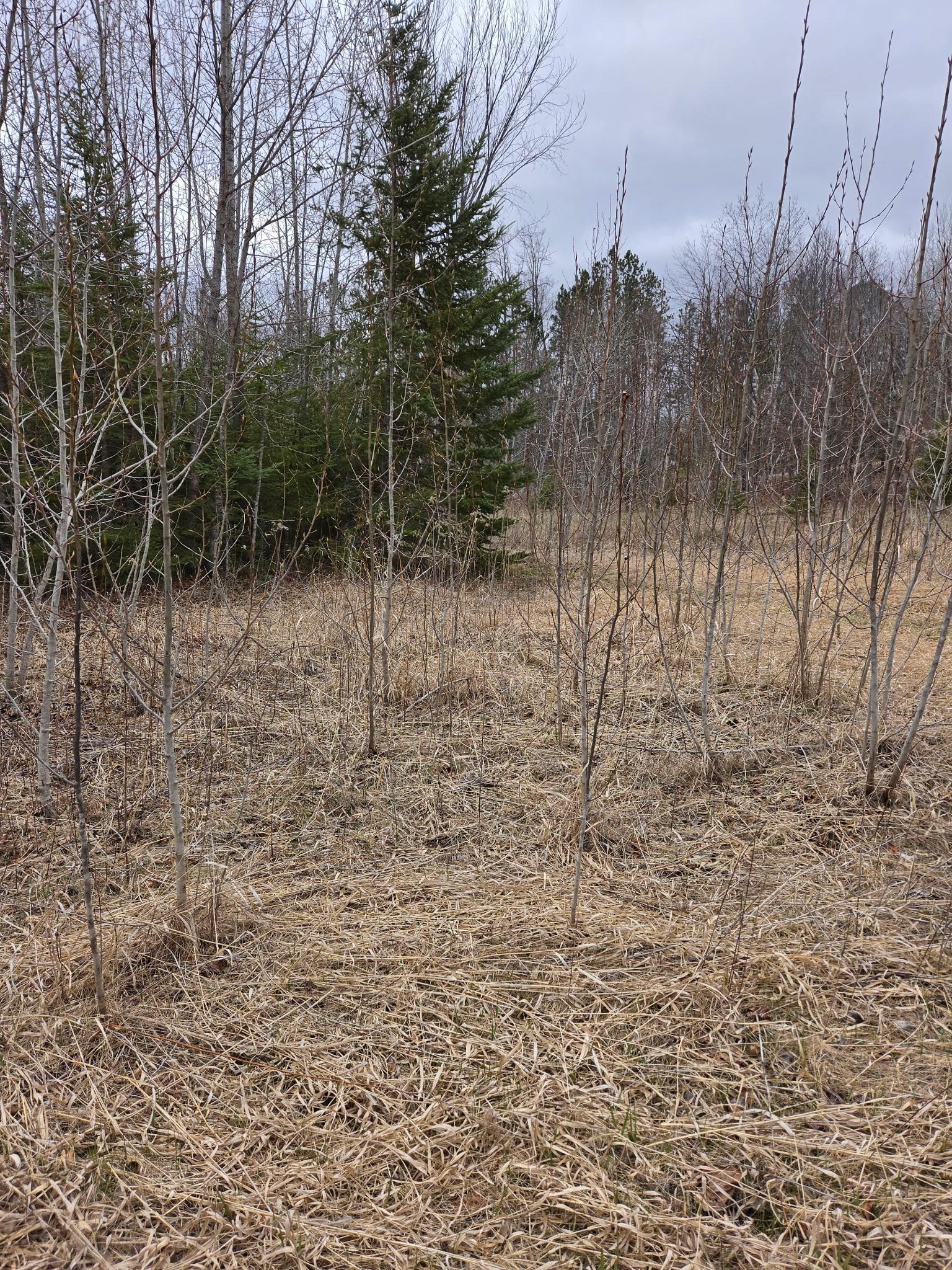 land for sale at TBD Lampi Road in Cohasset, MN (photo 3 of 5)