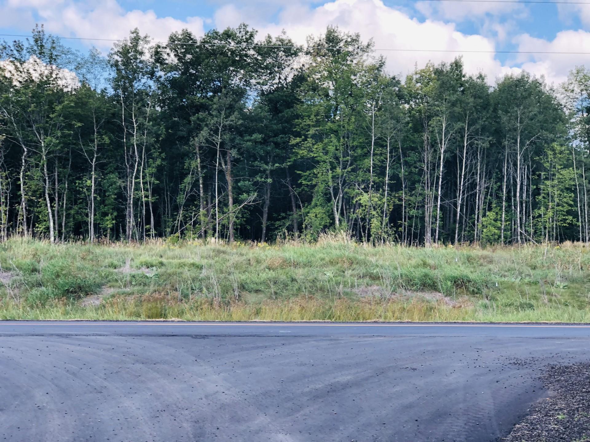 land for sale at 44131 Nature Avenue in Palisade, MN (photo 6 of 20)
