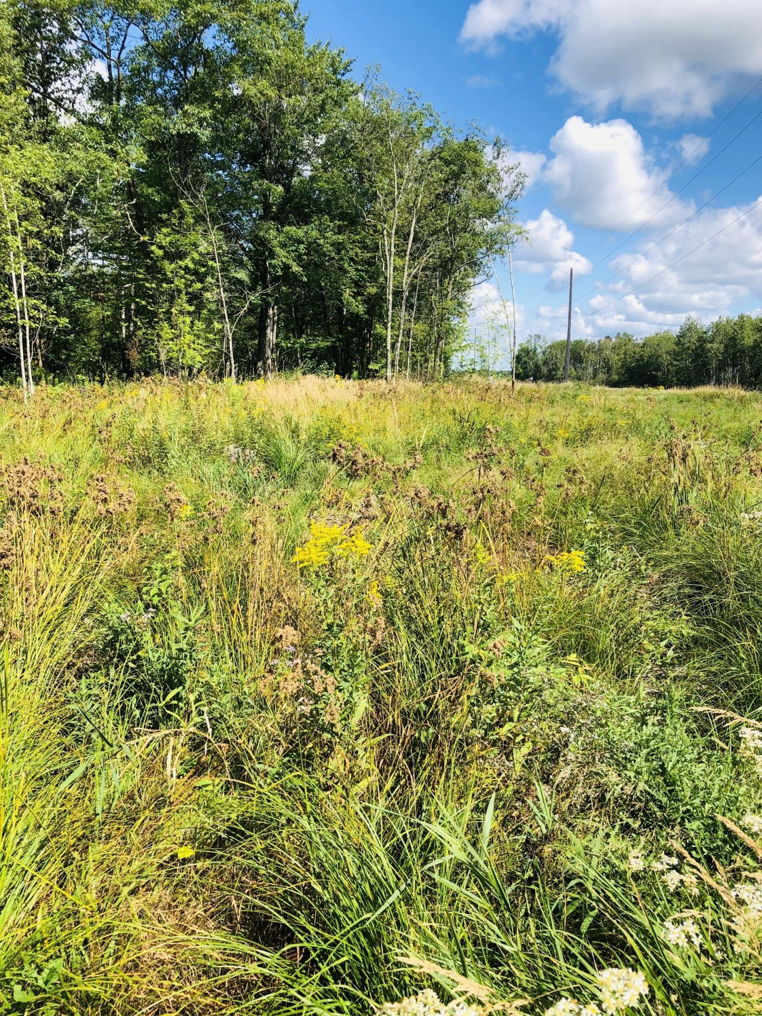 land for sale at 44131 Nature Avenue in Palisade, MN (photo 9 of 20)