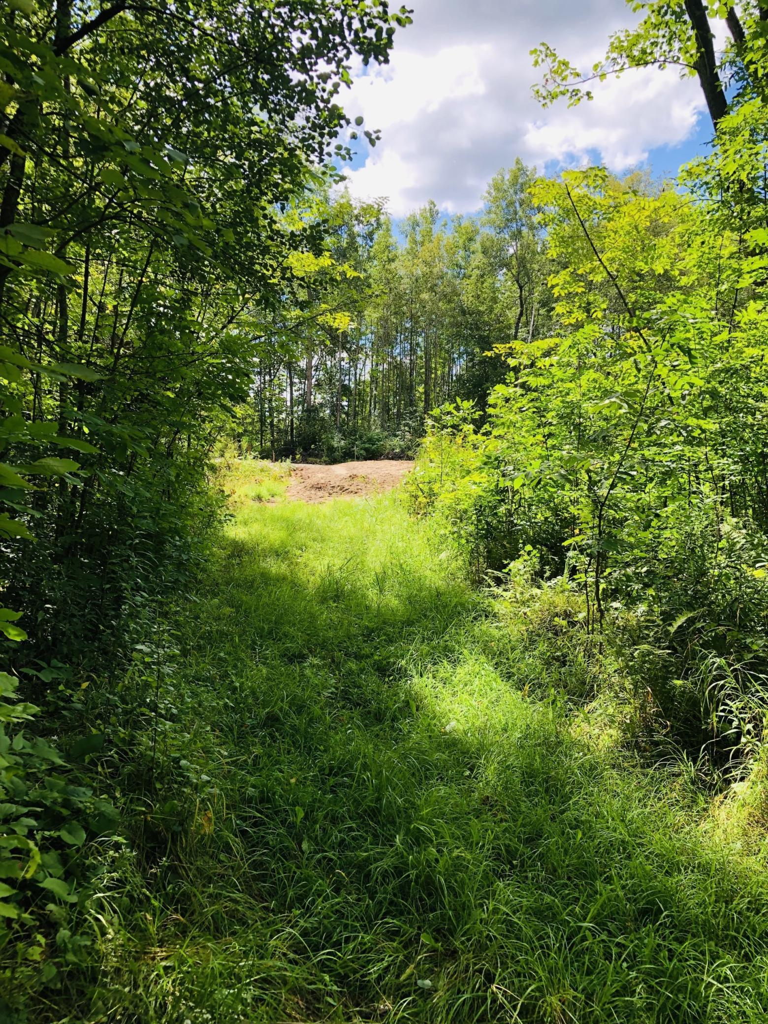 land for sale at 44131 Nature Avenue in Palisade, MN (photo 10 of 20)