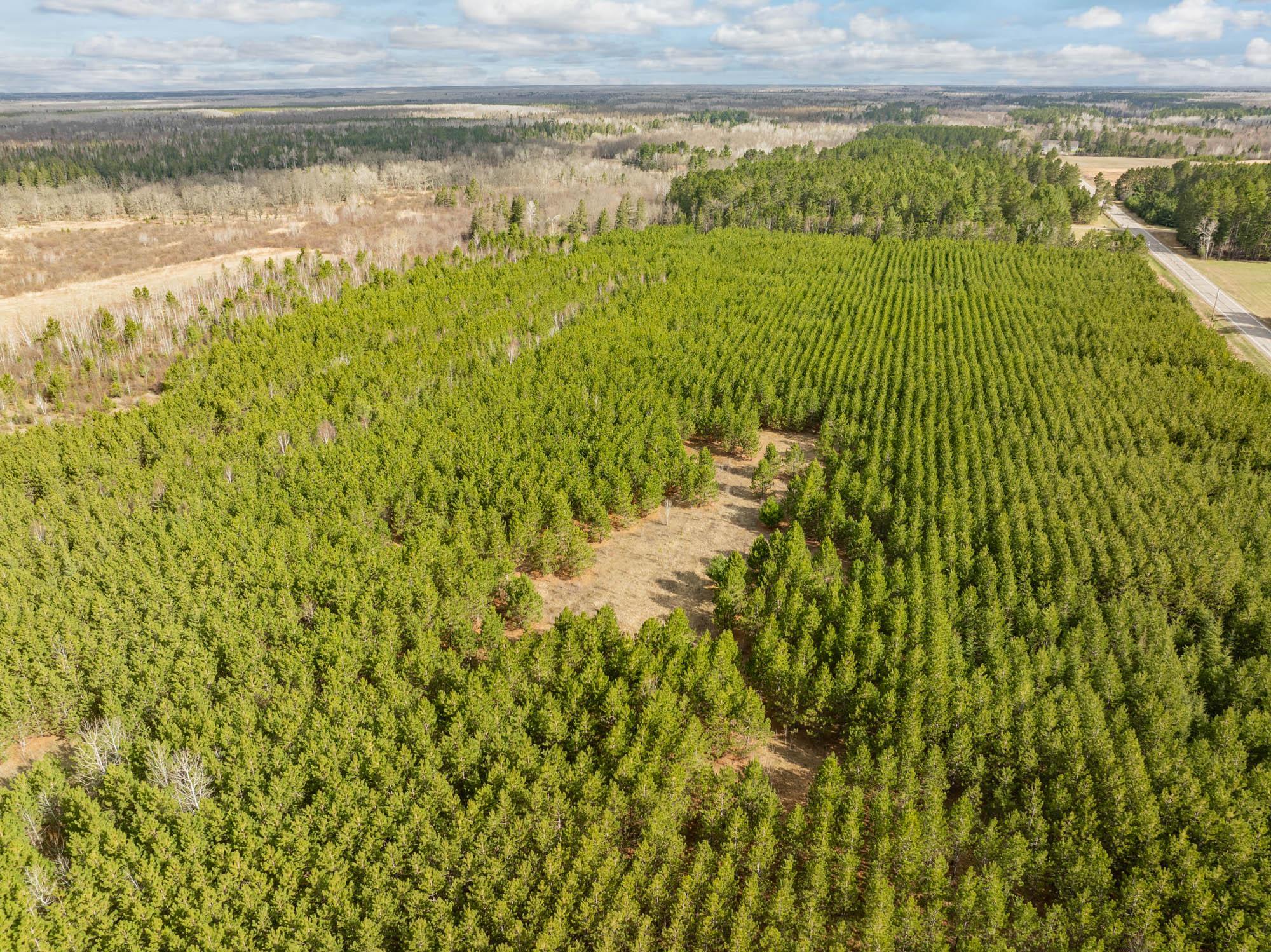 land for sale at Lot 2 Scenic Hwy 7 in Bovey, MN (photo 11 of 23)