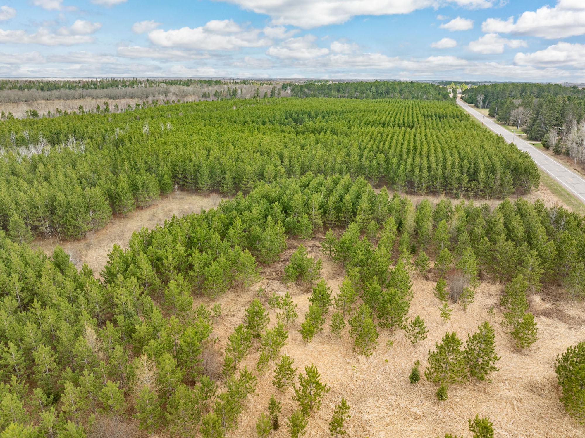 land for sale at Lot 2 Scenic Hwy 7 in Bovey, MN (photo 13 of 23)