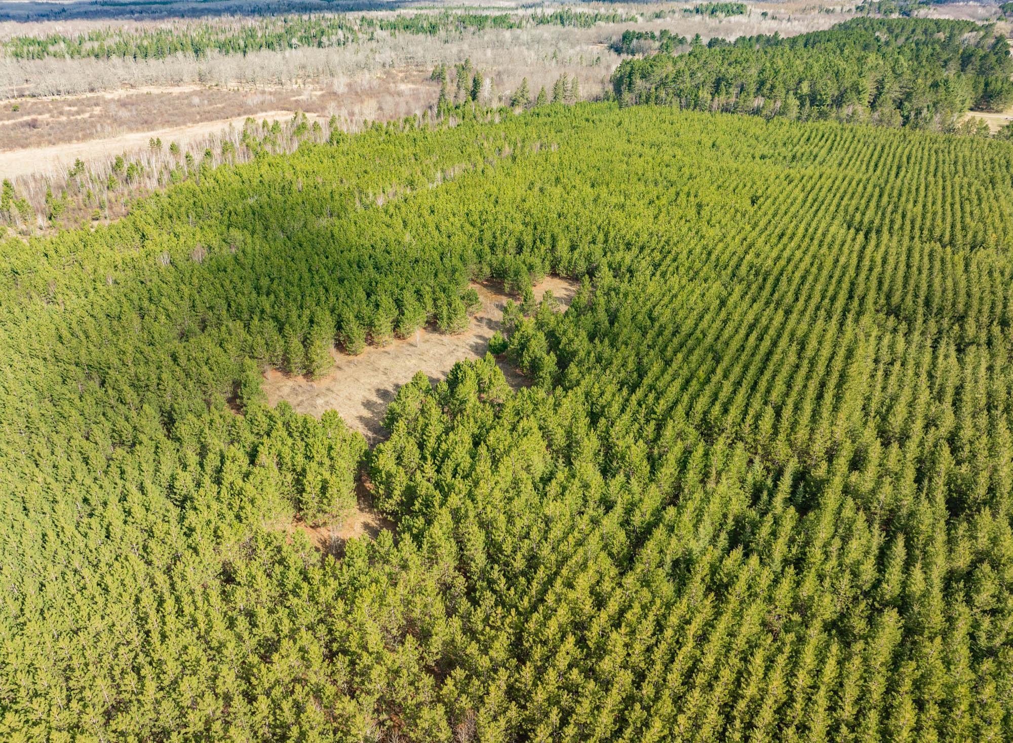 land for sale at Lot 2 Scenic Hwy 7 in Bovey, MN (photo 14 of 23)