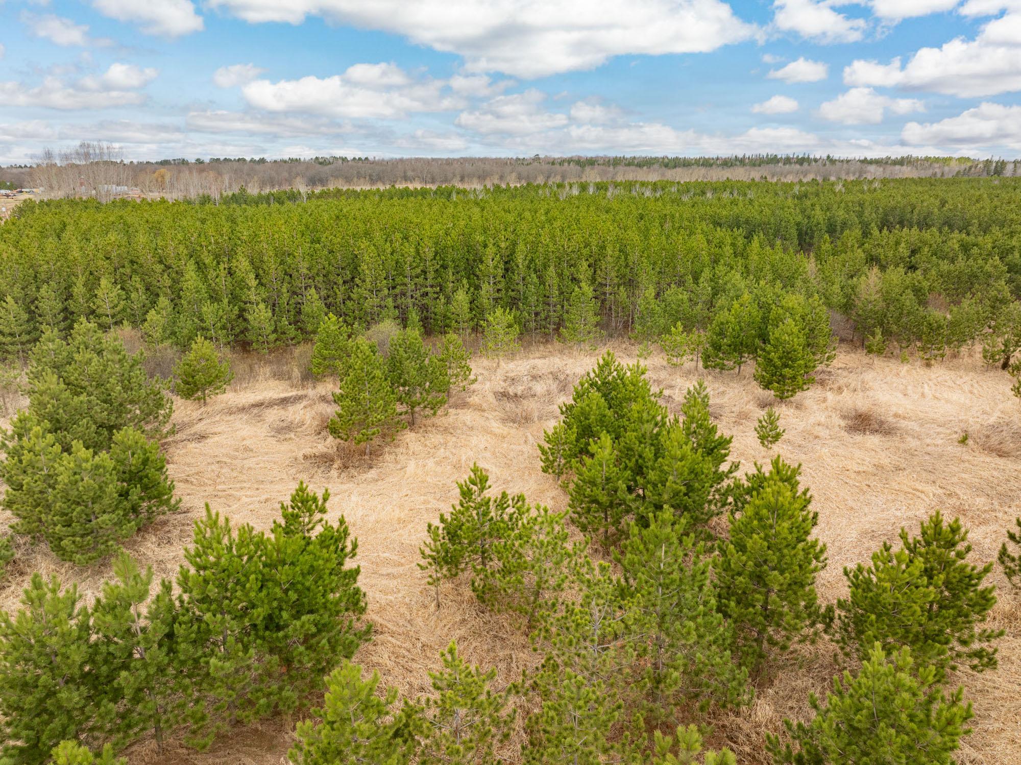 land for sale at Lot 2 Scenic Hwy 7 in Bovey, MN (photo 16 of 23)