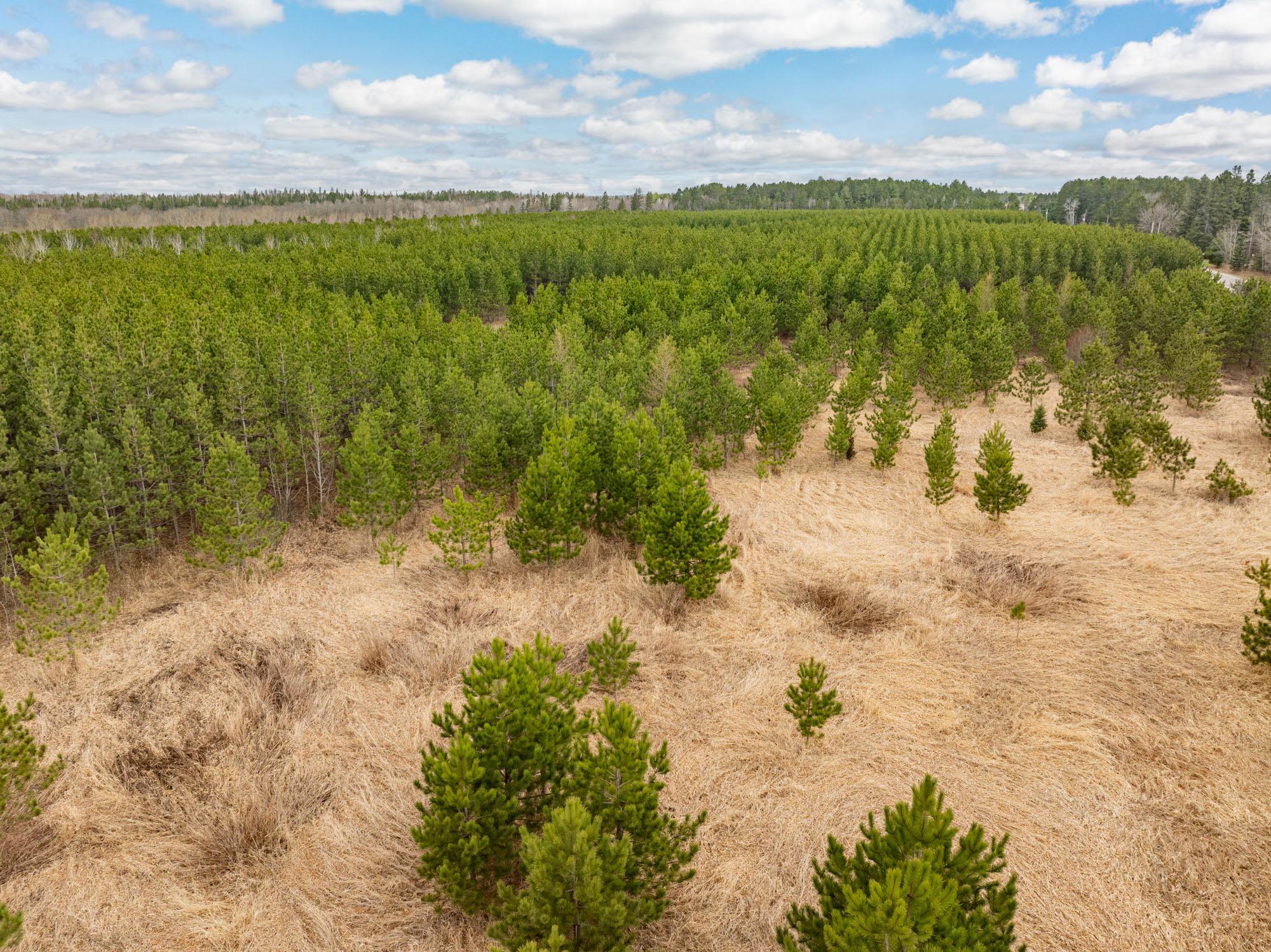 land for sale at Lot 2 Scenic Hwy 7 in Bovey, MN (photo 17 of 23)