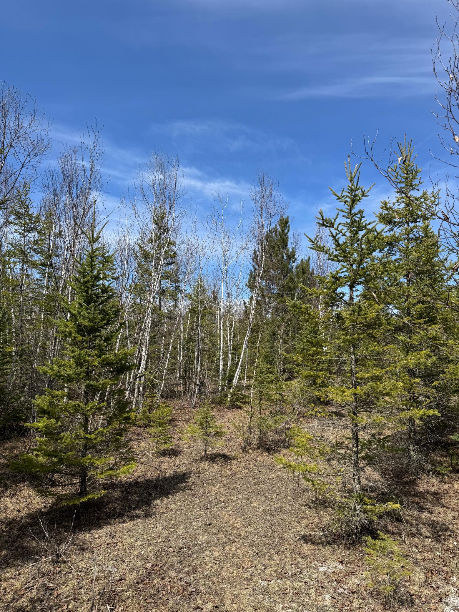 land for sale at Lot 2 Scenic Hwy 7 in Bovey, MN (photo 19 of 23)
