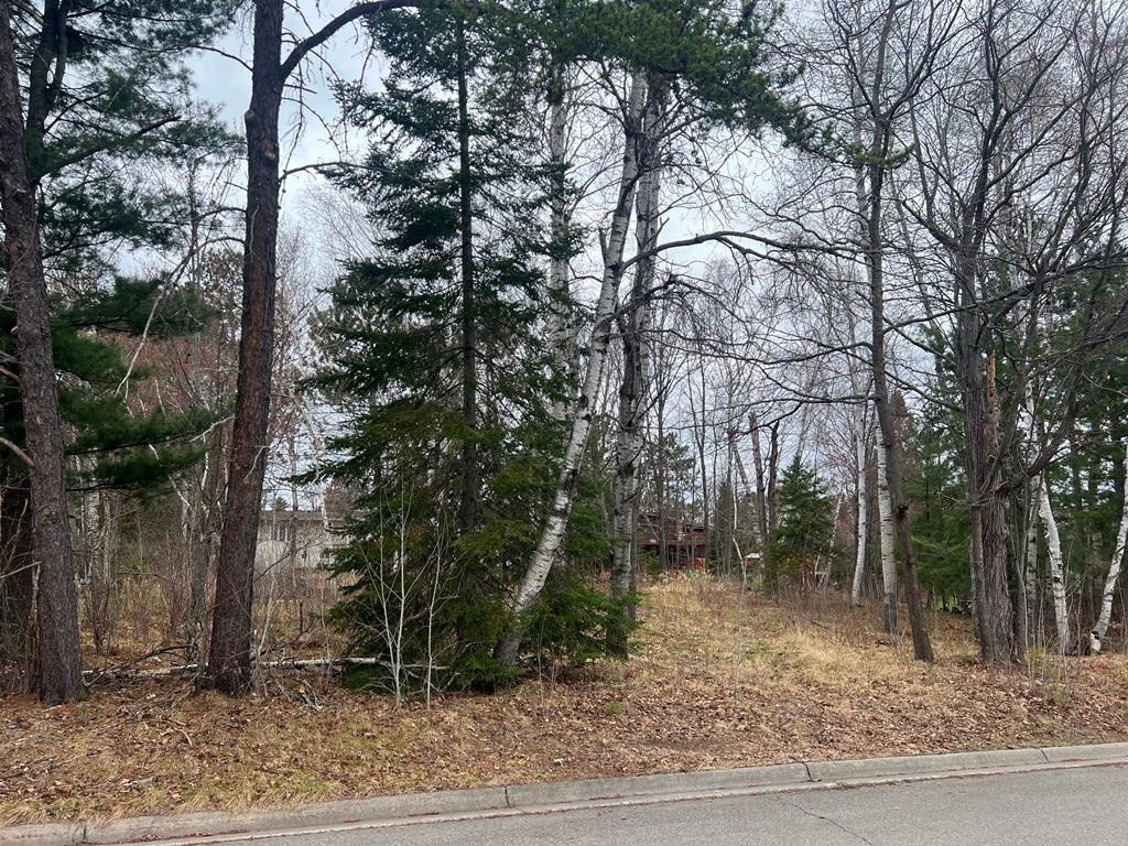 TBD 3rd Avenue SW, Grand Rapids MN 55744 - Photo 2 of 9