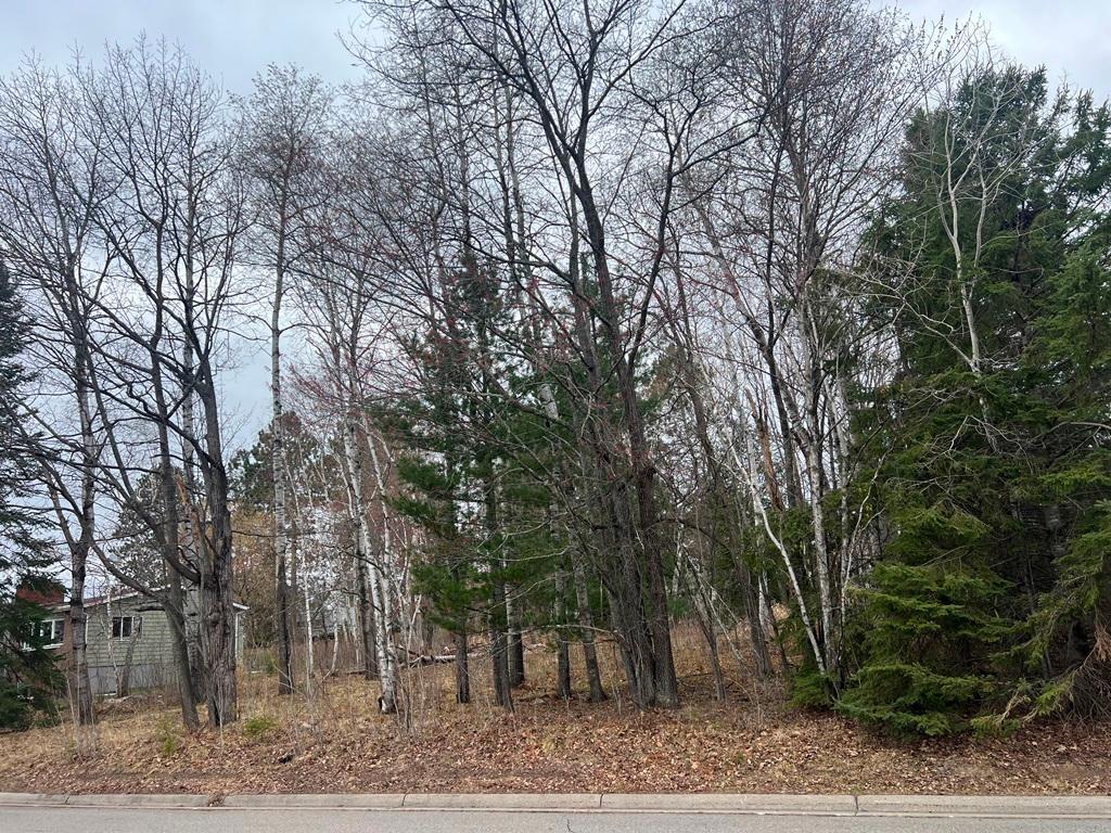 TBD 3rd Avenue SW, Grand Rapids MN 55744 - Photo 4 of 9