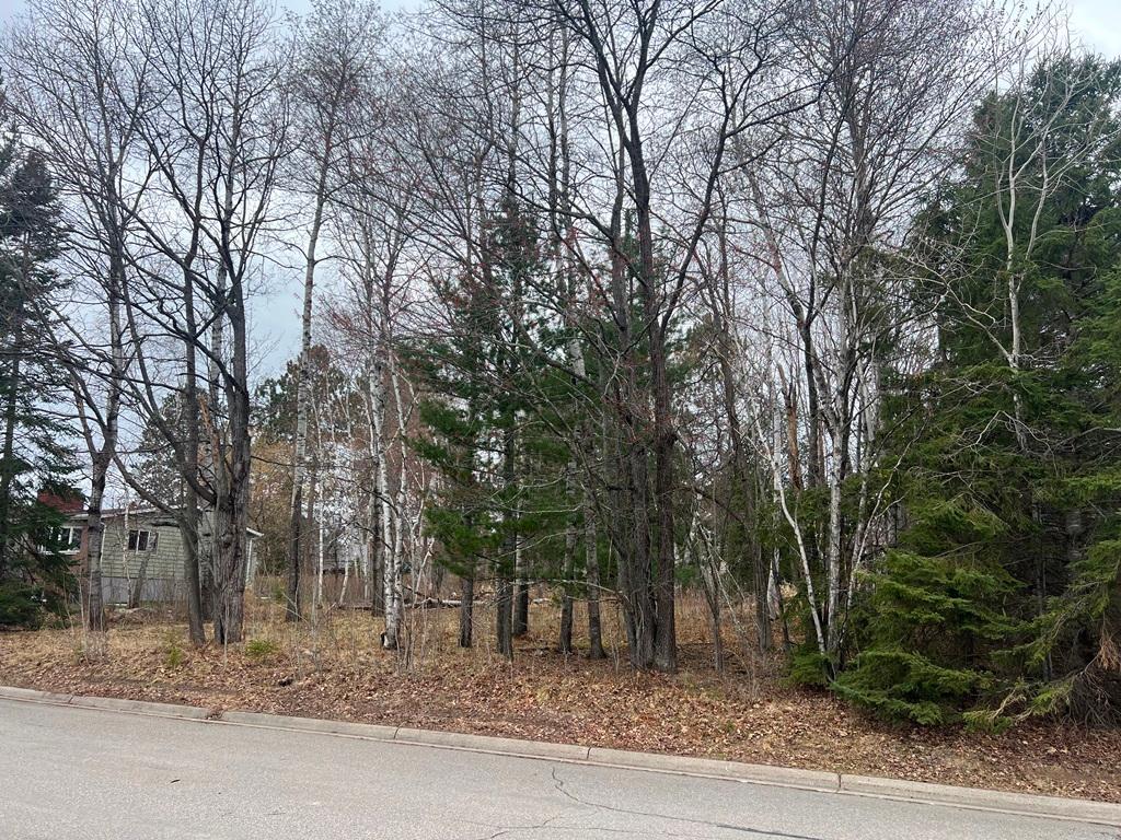 TBD 3rd Avenue SW, Grand Rapids MN 55744 - Photo 6 of 9