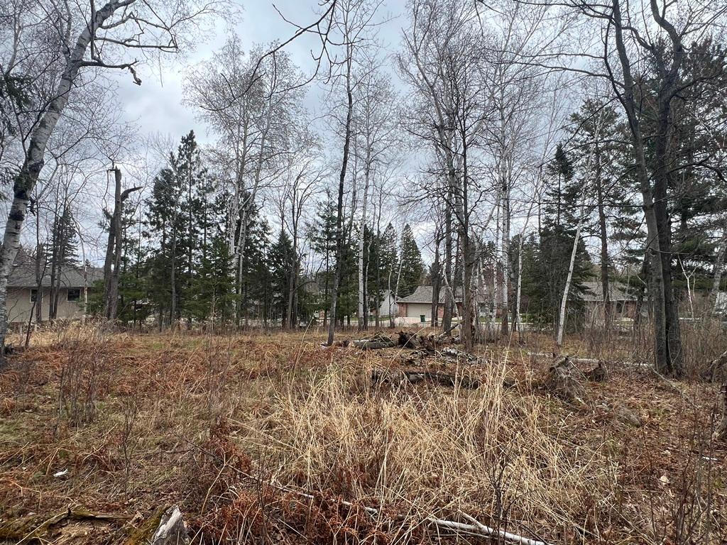 TBD 3rd Avenue SW, Grand Rapids MN 55744 - Photo 8 of 9