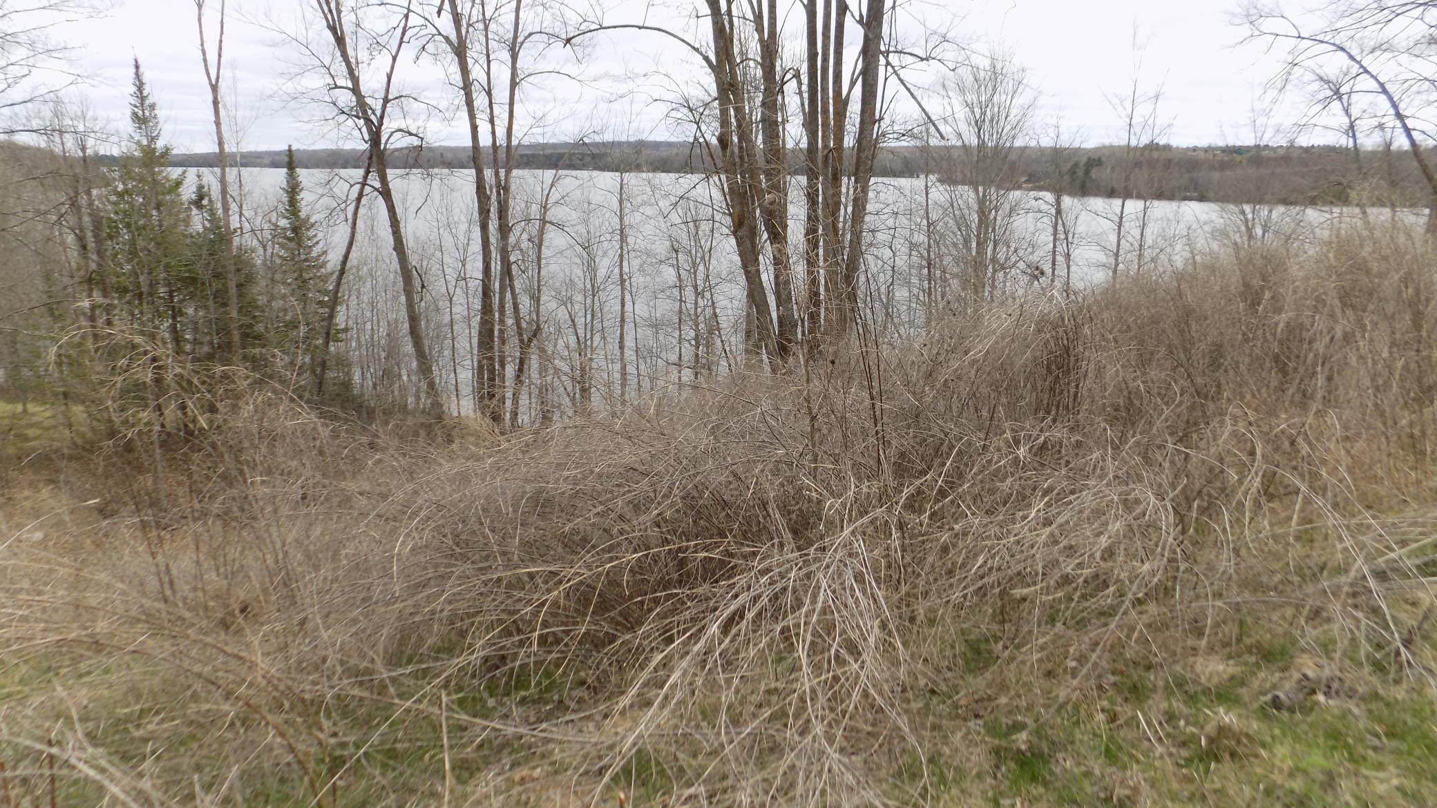 TBD Bluebill Bay Road, Bovey MN 55709 - Photo 5 of 6