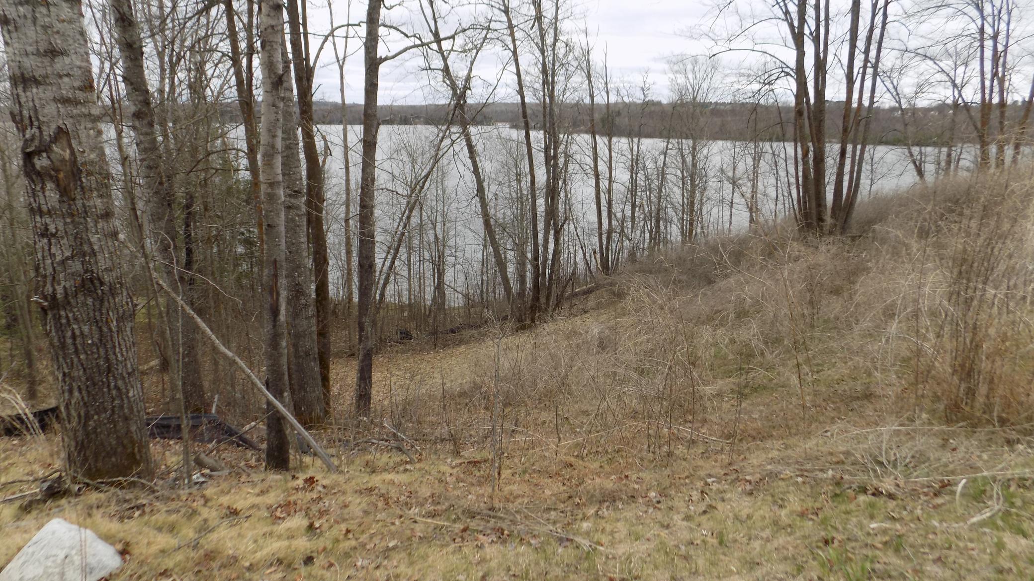 TBD Bluebill Bay Road, Bovey MN 55709 - Photo 6 of 6
