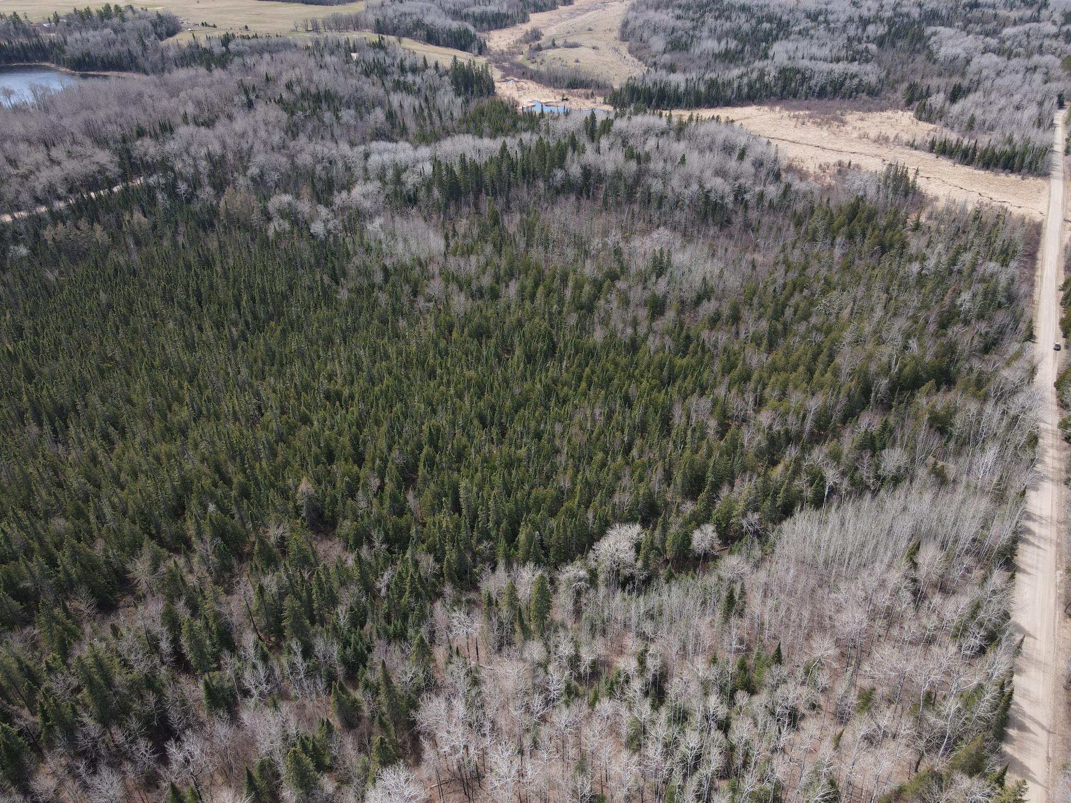 land for sale at TBD CO Rd 40 in Effie, MN (photo 13 of 25)